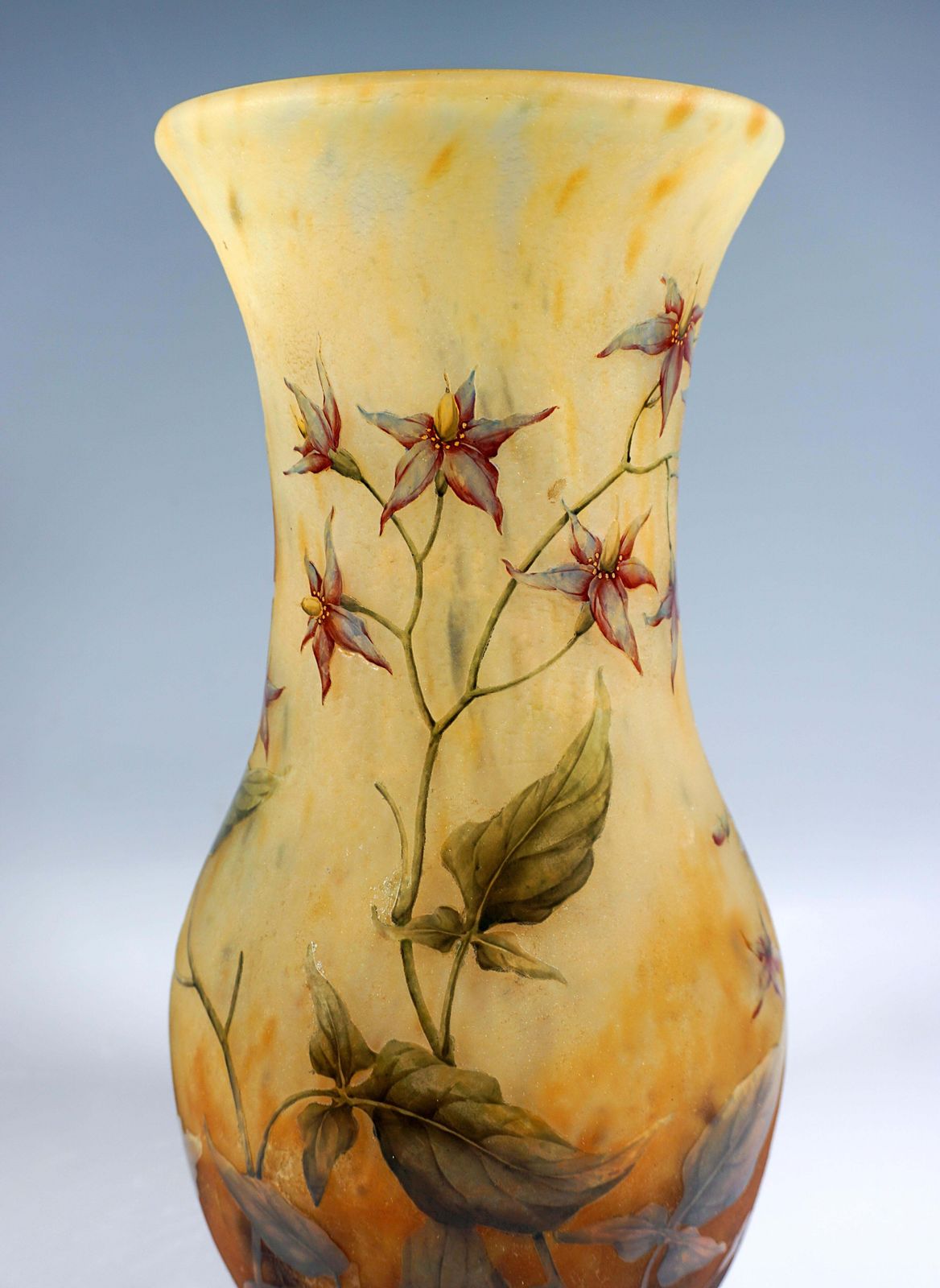 Large Art Nouveau Cameo Vase, Solanum Dulcamara Decor, Daum Nancy, France, 1910 photo 7638.0