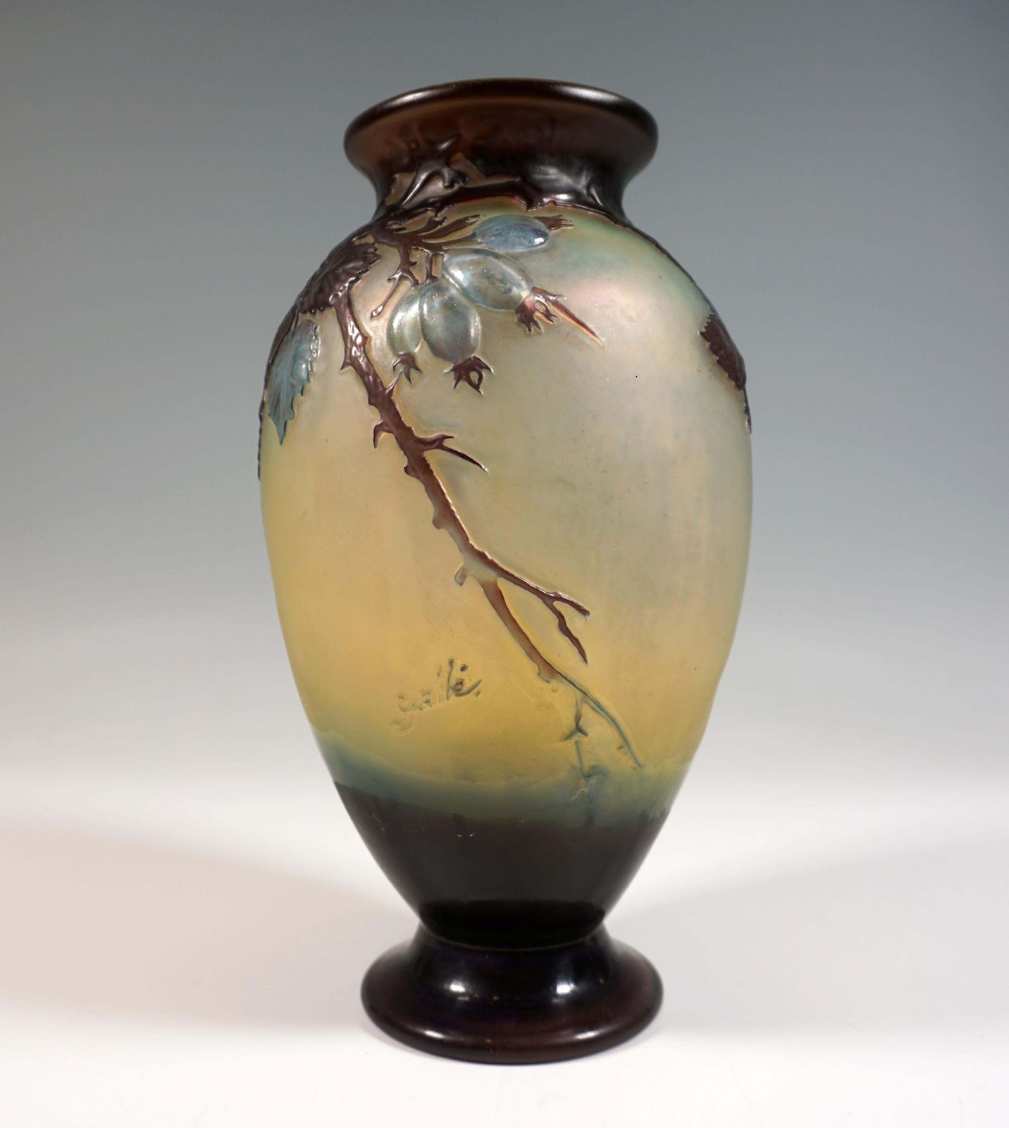Emile Galle Soufflé Vase Gallé Nancy Art Nouveau Wild Rose France C.1925 photo 9769.0