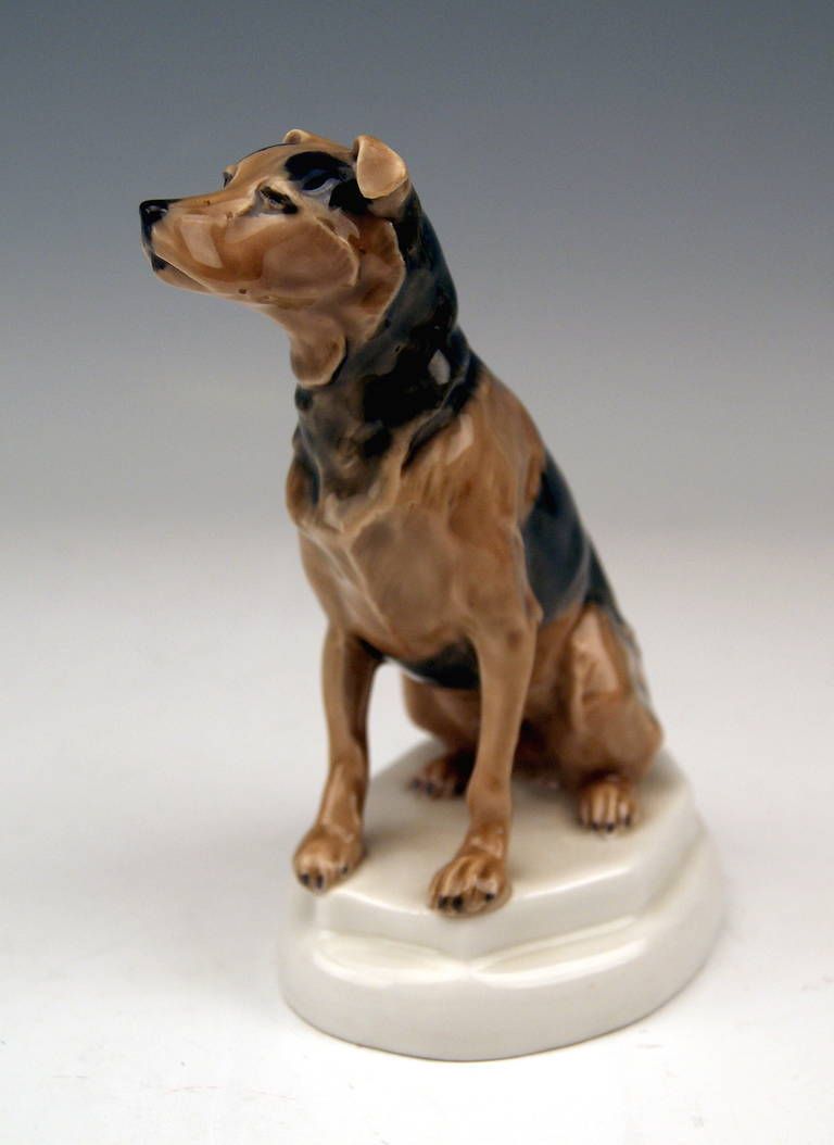 Meissen Lovely Dog Figurine Terrier By Paul Walther Made C. 1935 photo Home Decor