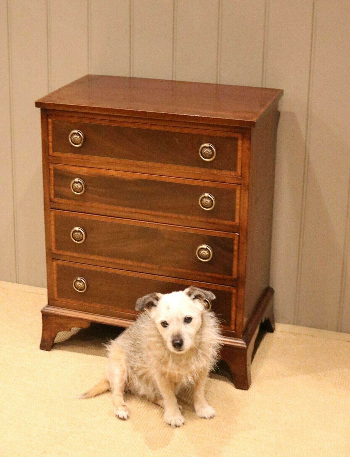 Early 20th Century Mahogany Chest Of Drawers photo Furniture