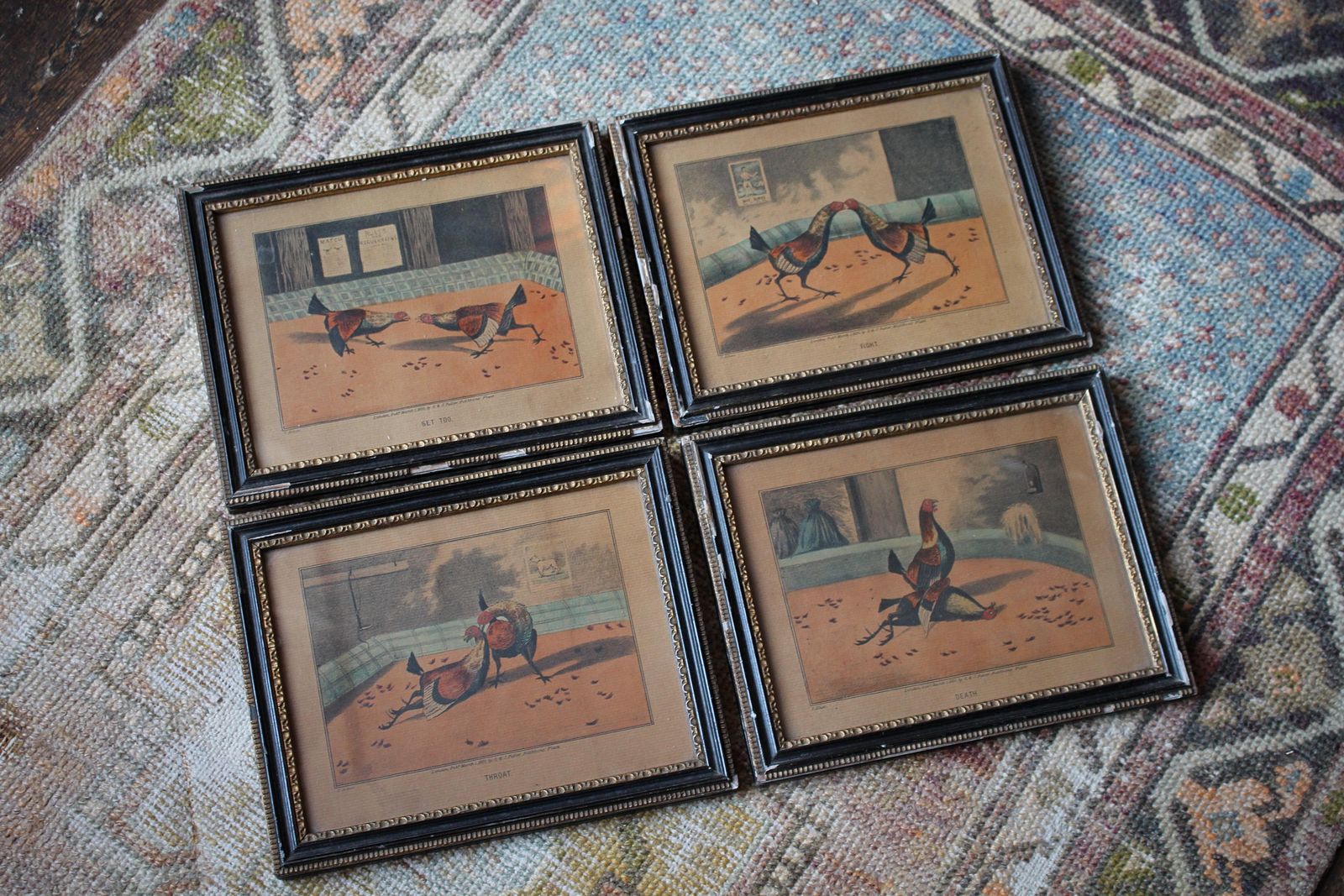 Early 19th Century Hand Coloured Cockfighting Scenes Sporting Taxidermy Hunting photo 505.0