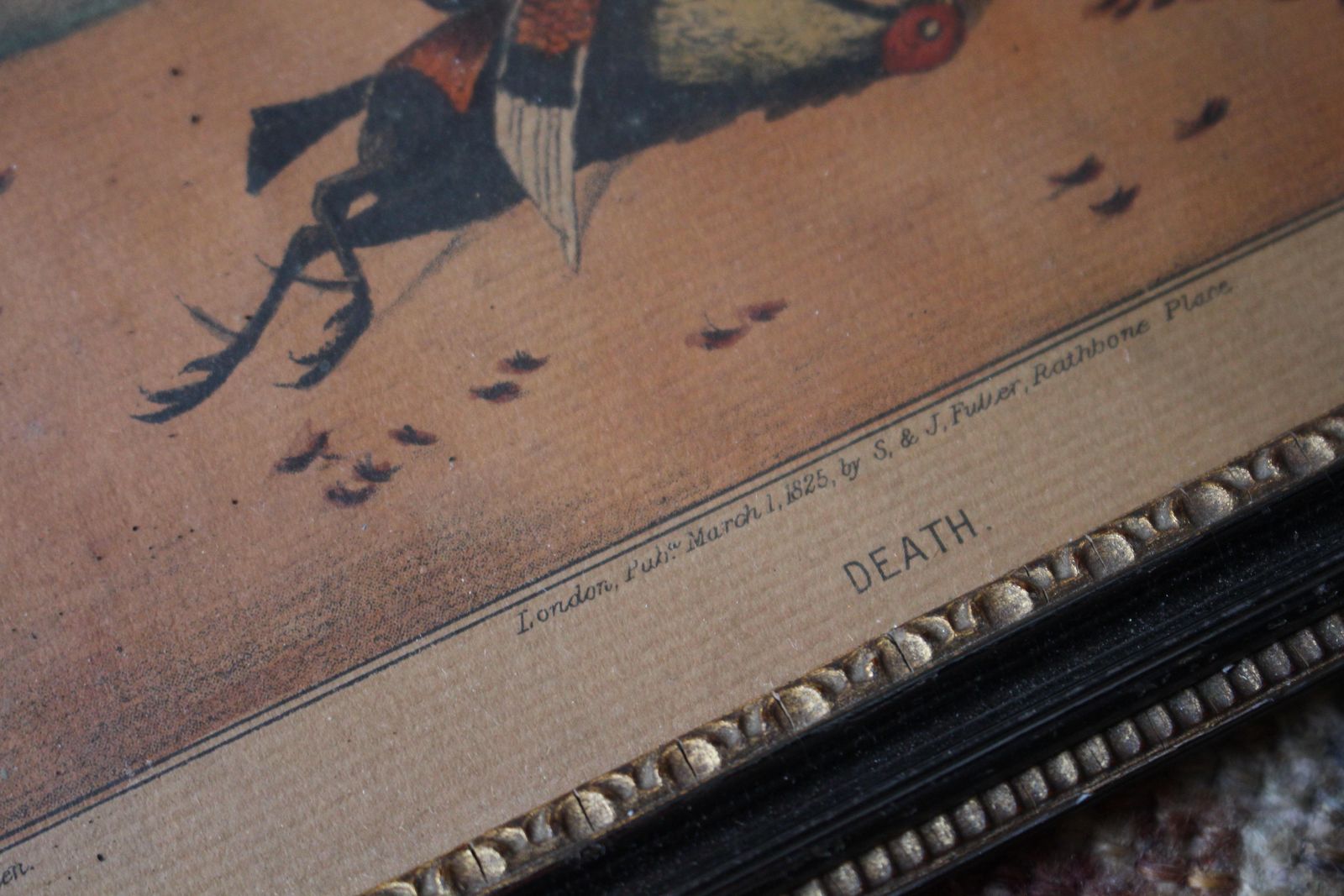 photo vintage Early 19th Century Hand Coloured Cockfighting Scenes Sporting Taxidermy Hunting