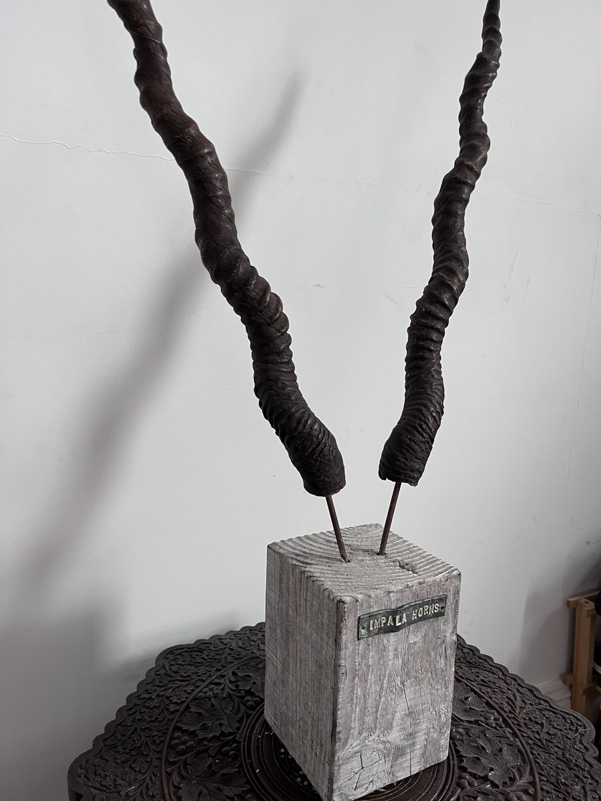 Antique Antelope Impala Horns On Wooden Plinth photo furniture