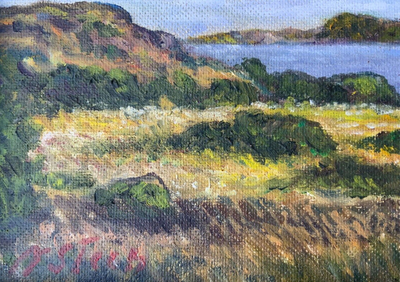 Vintage Oil On Canvas Landscape Scene”Nord Coast In Summer Day” N.Stern 1978s photo Art