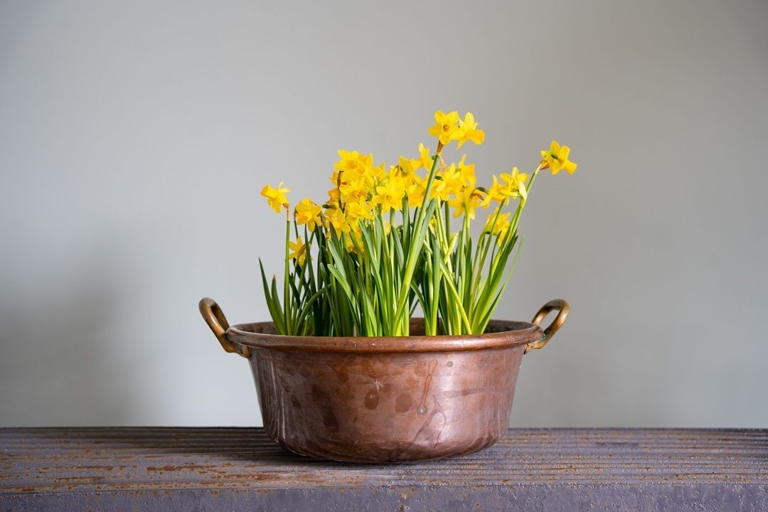 Antique Copper Pot Planter