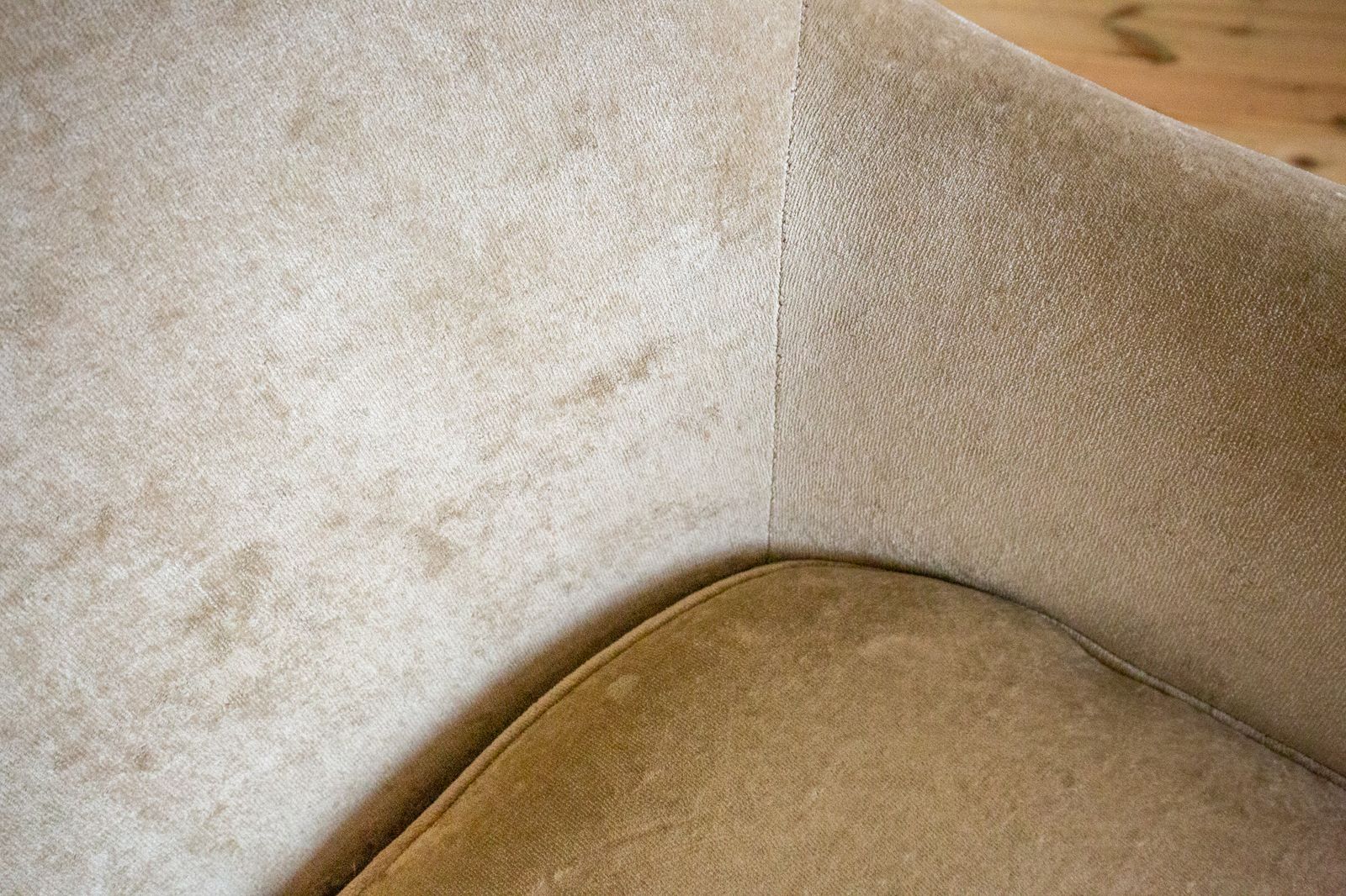 French Restauration Period Sofa 2 Seater Luxury Champagne Crushed Velvet Biedermeier Charles X Restoration Period Antique Silver Sleigh Scrolled 1830 photo buy