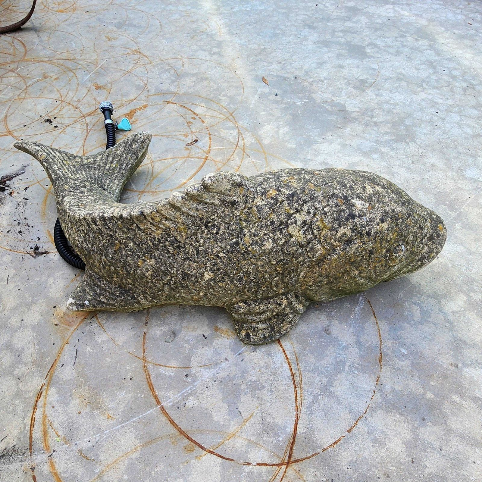 Weathered Koi Carp Water Fountain   Reconstituted Stone photo 275.0