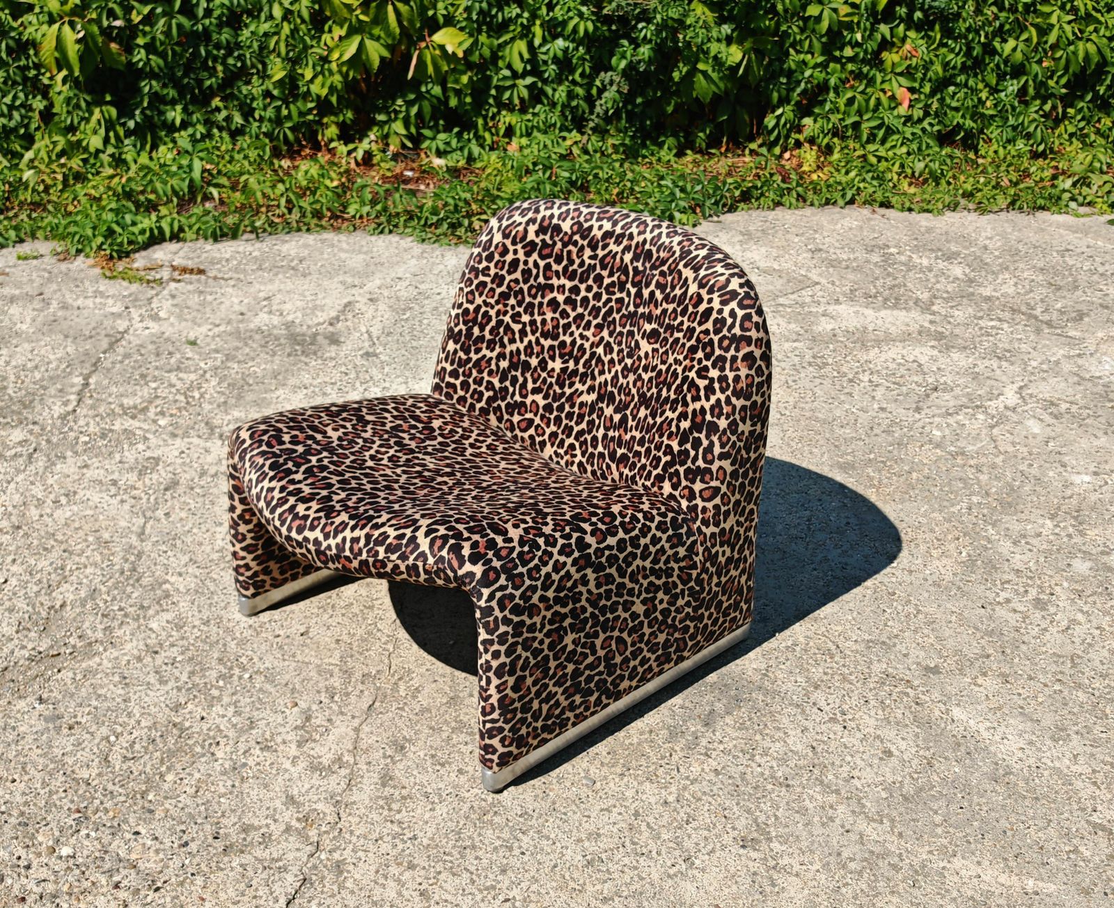 Iconic Alky Chair Designed By Giancarlo Piretti For Artifort In Leopard Print