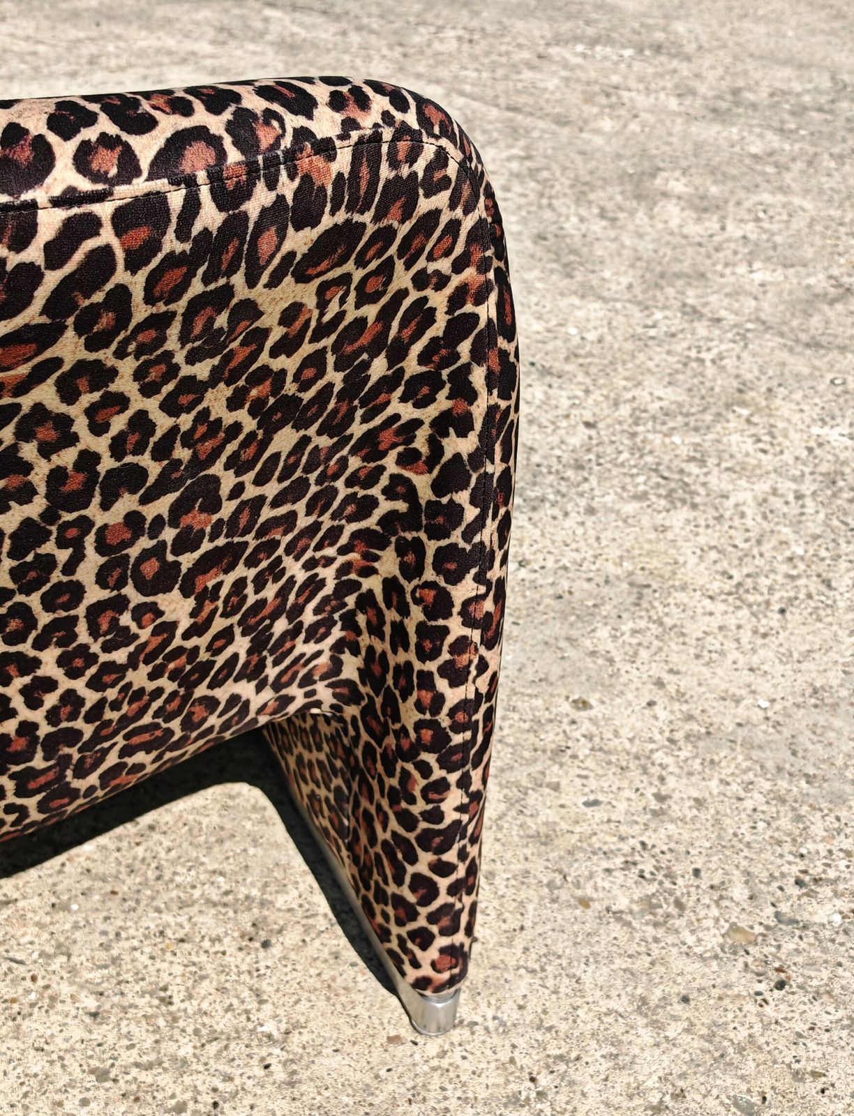 Iconic Alky Chair Designed By Giancarlo Piretti For Artifort In Leopard Print photo vintage