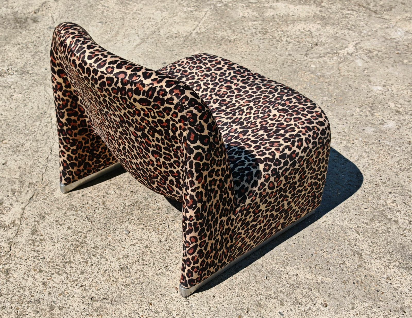 2000.0 Iconic Alky Chair Designed By Giancarlo Piretti For Artifort In Leopard Print photo