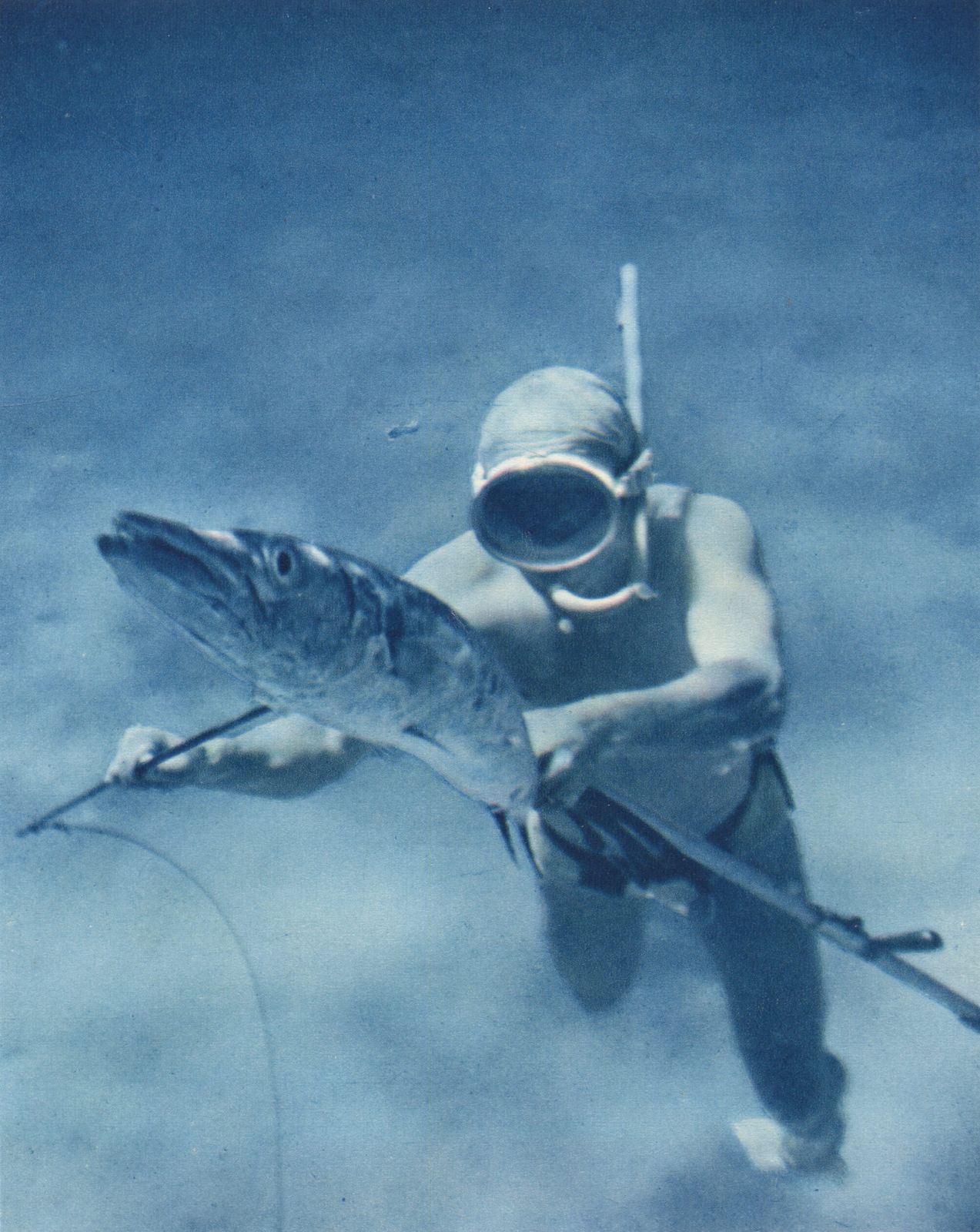 “Killing A Barracuda”, 1955 French Heliochrome Print On Paper photo furniture