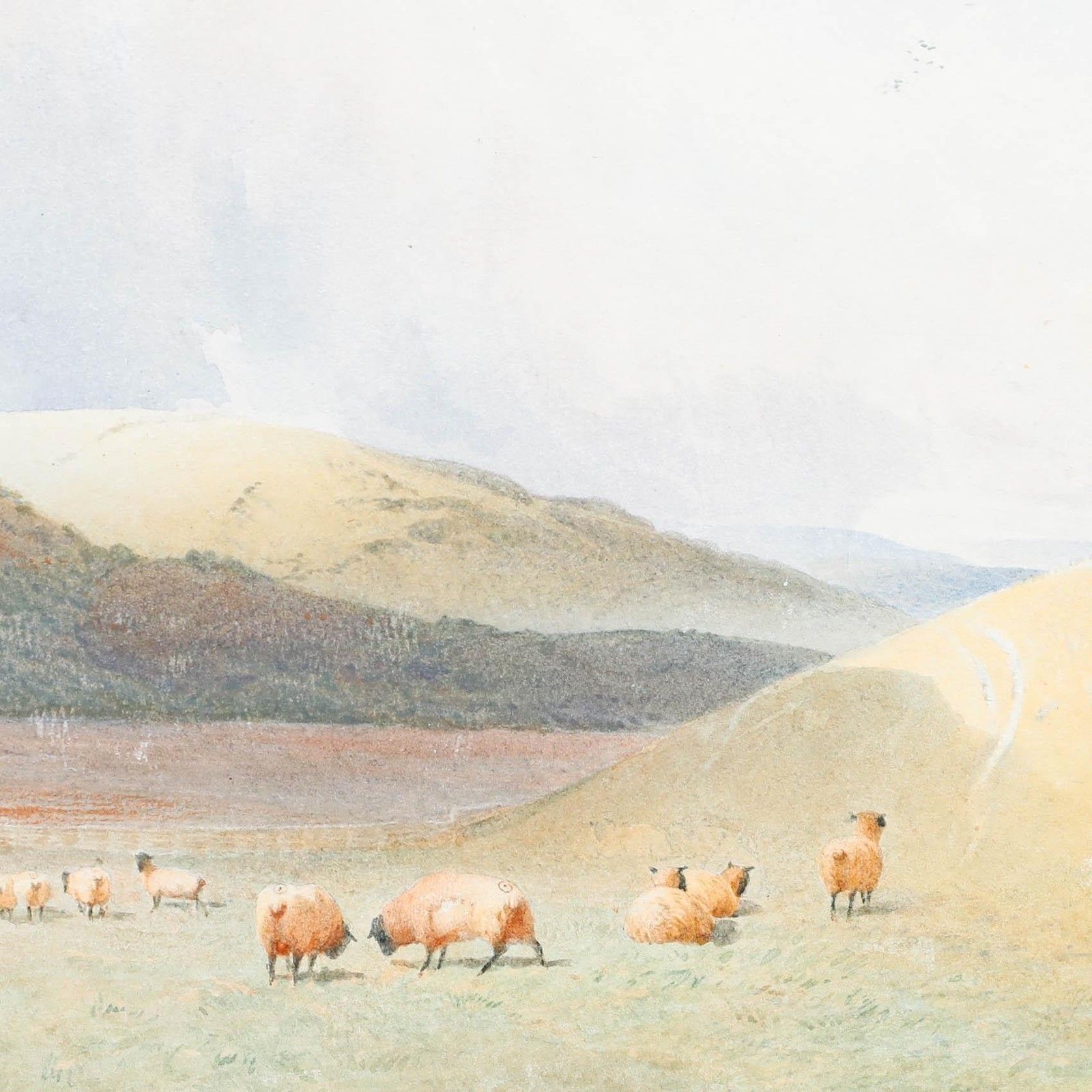 Edward Matthews 1876 Watercolour, Grazing Near Bignor Hill, Sussex photo Art