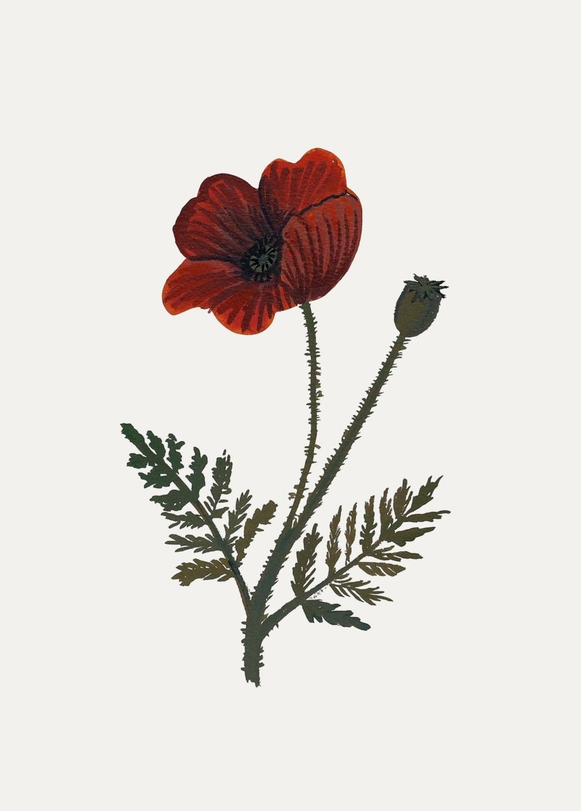 Jemma Jamie 2024 Watercolour, Poppy photo furniture