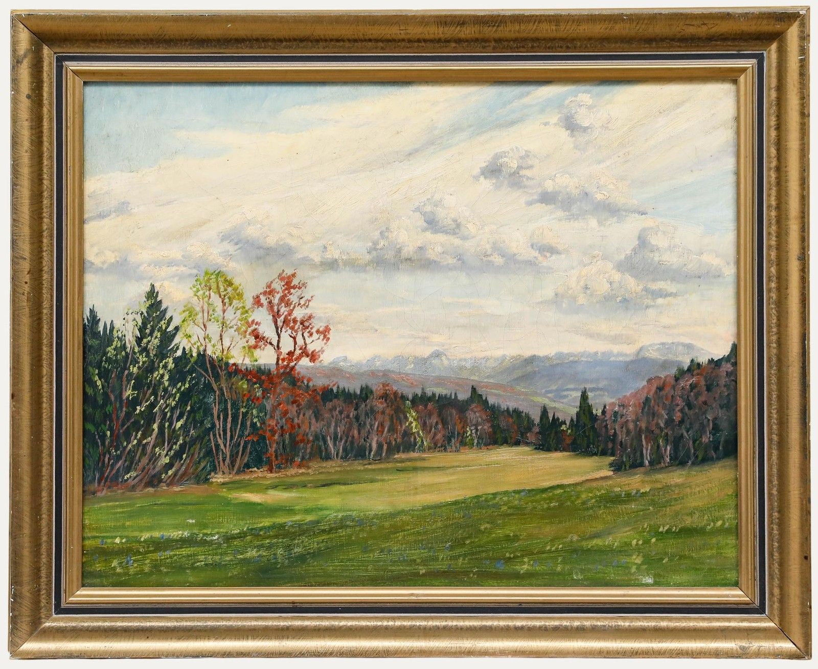 Early 20th Century Oil A View Of The Forest Edge