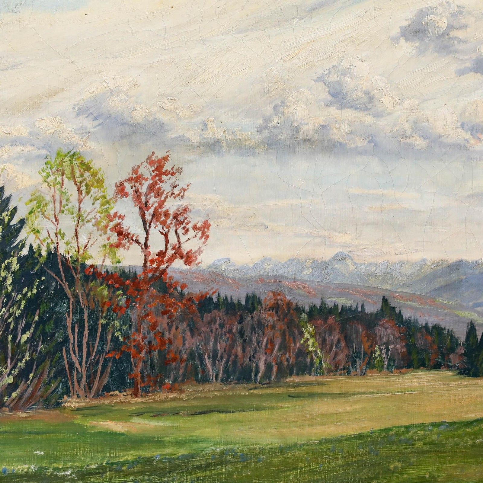 Early 20th Century Oil A View Of The Forest Edge photo Art