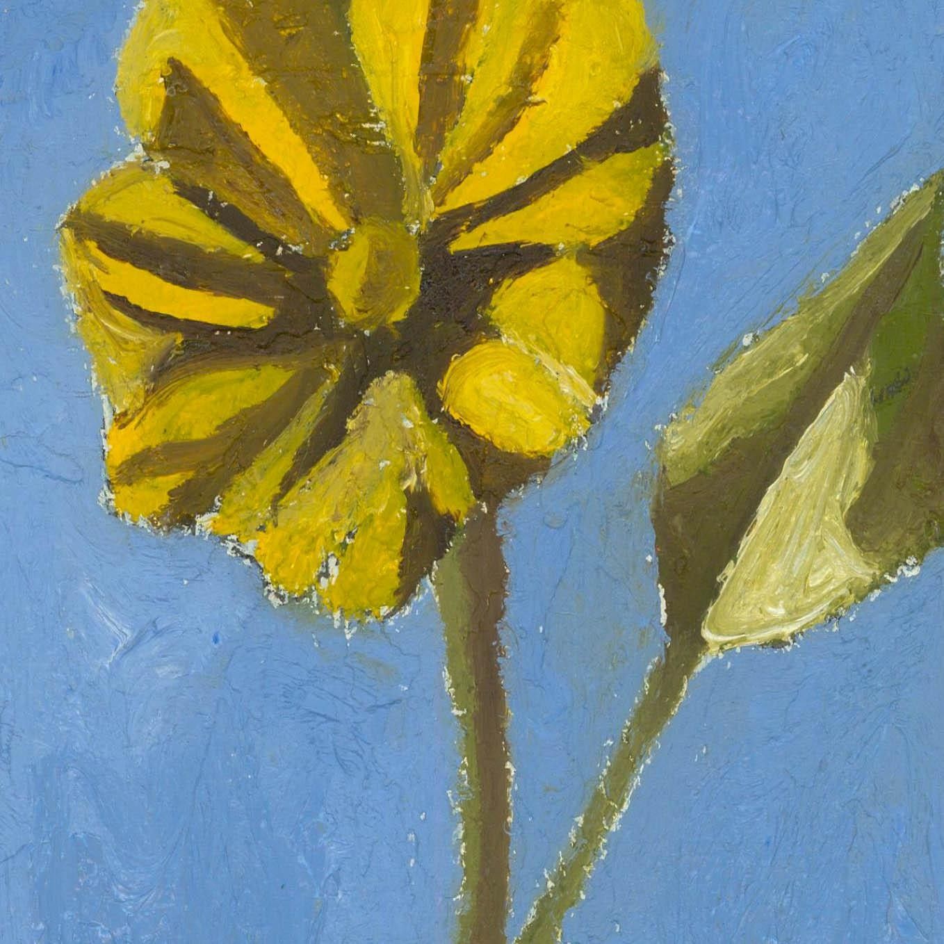 Ben Carrivick Contemporary Oil, Yellow Gazania photo for sale