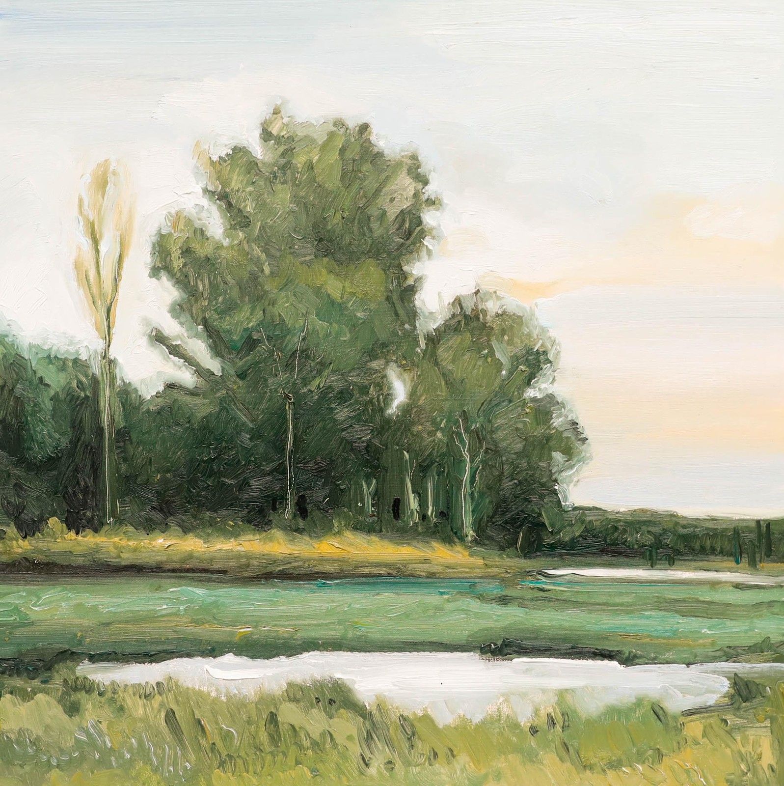 Nick Todhunter Contemporary Oil, In Evening Air photo furniture