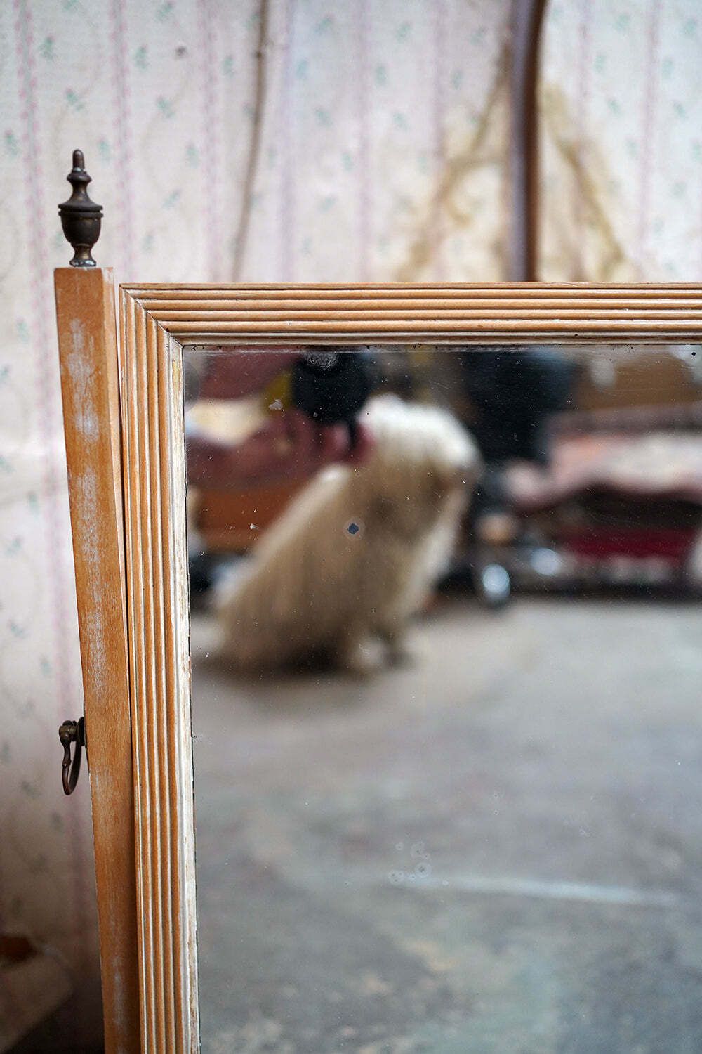 A Late 19thc Bleached Maple & Parcel Gilt Dressing Mirror C.1890 photo vintage