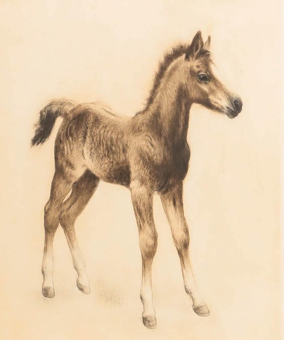Kurt Meyer Eberhardt (1895 1977) Framed Drypoint, The Young Foal photo furniture