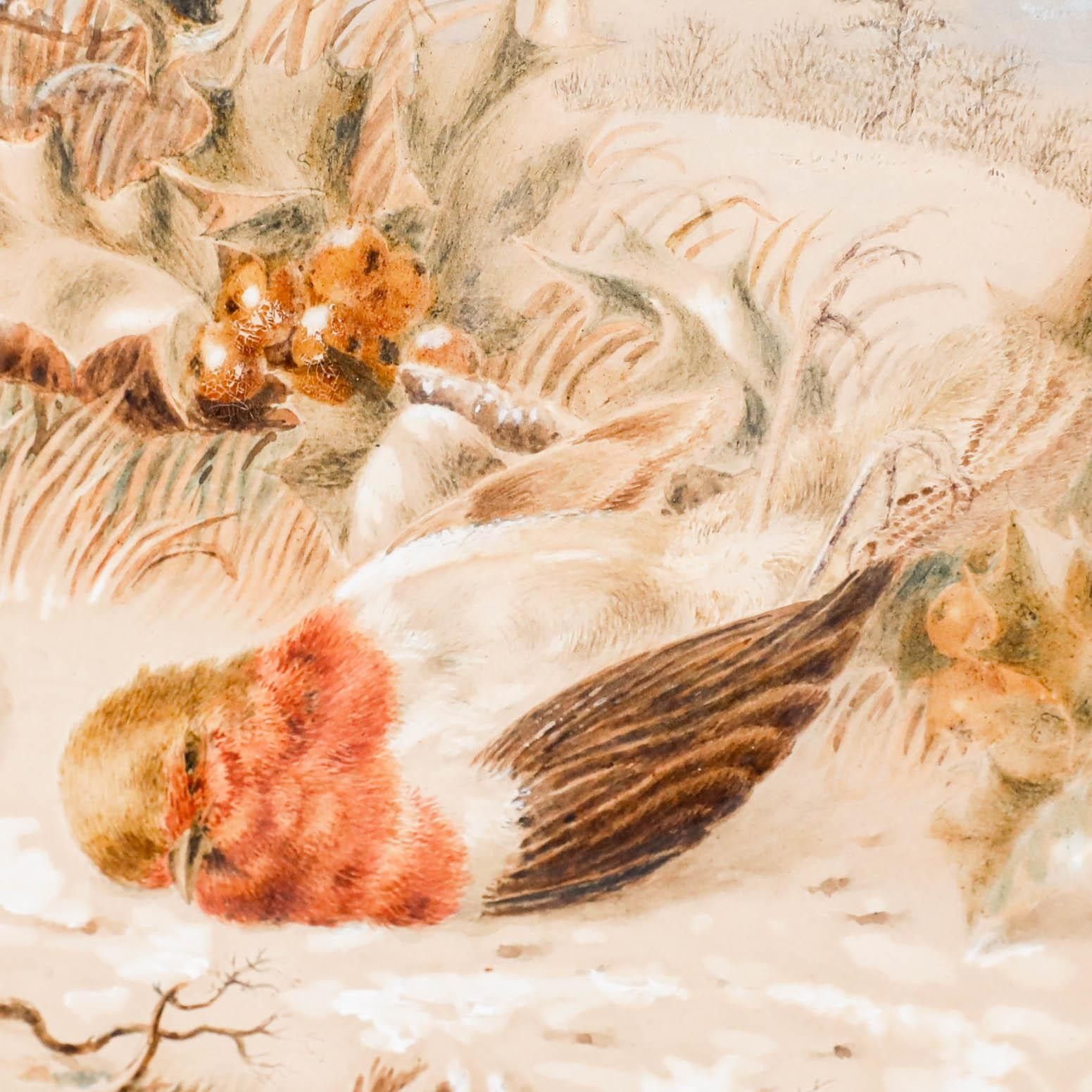 Emma Walter (1833 1893) Late 19th Century Watercolour, The Dead Robin photo Art