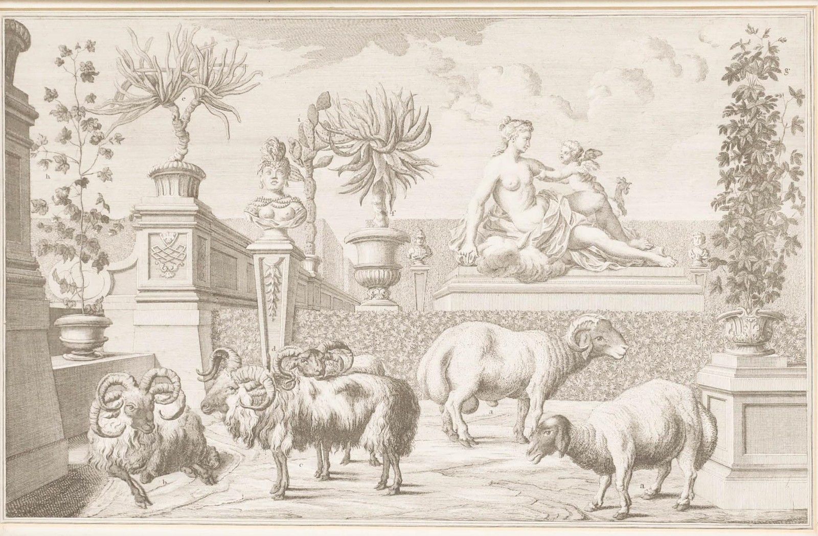 Salomon Kleiner (1700 1761) 18th Century Engraving, Prince Eugene's Sheep photo furniture