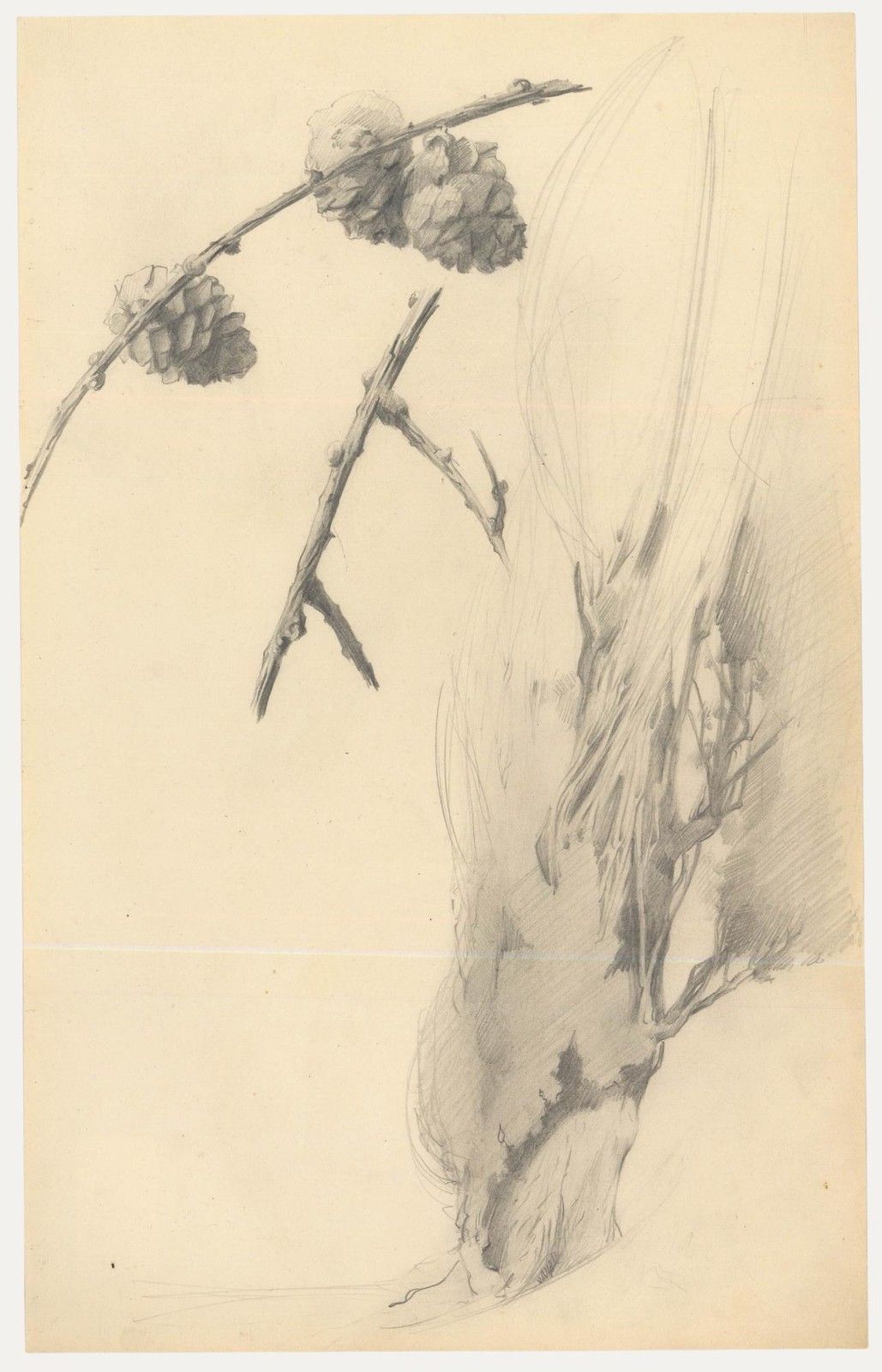 Attrib. John Cluysenaar (1899 1986) Graphite Drawing, Study Of Pinecones