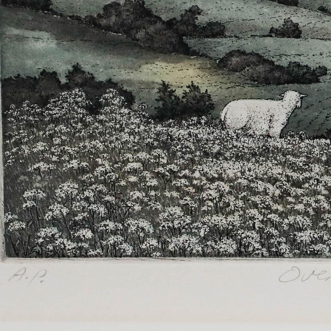 Kathleen Cantin (B.1951) 1992 Etching, Over The Valley photo for sale