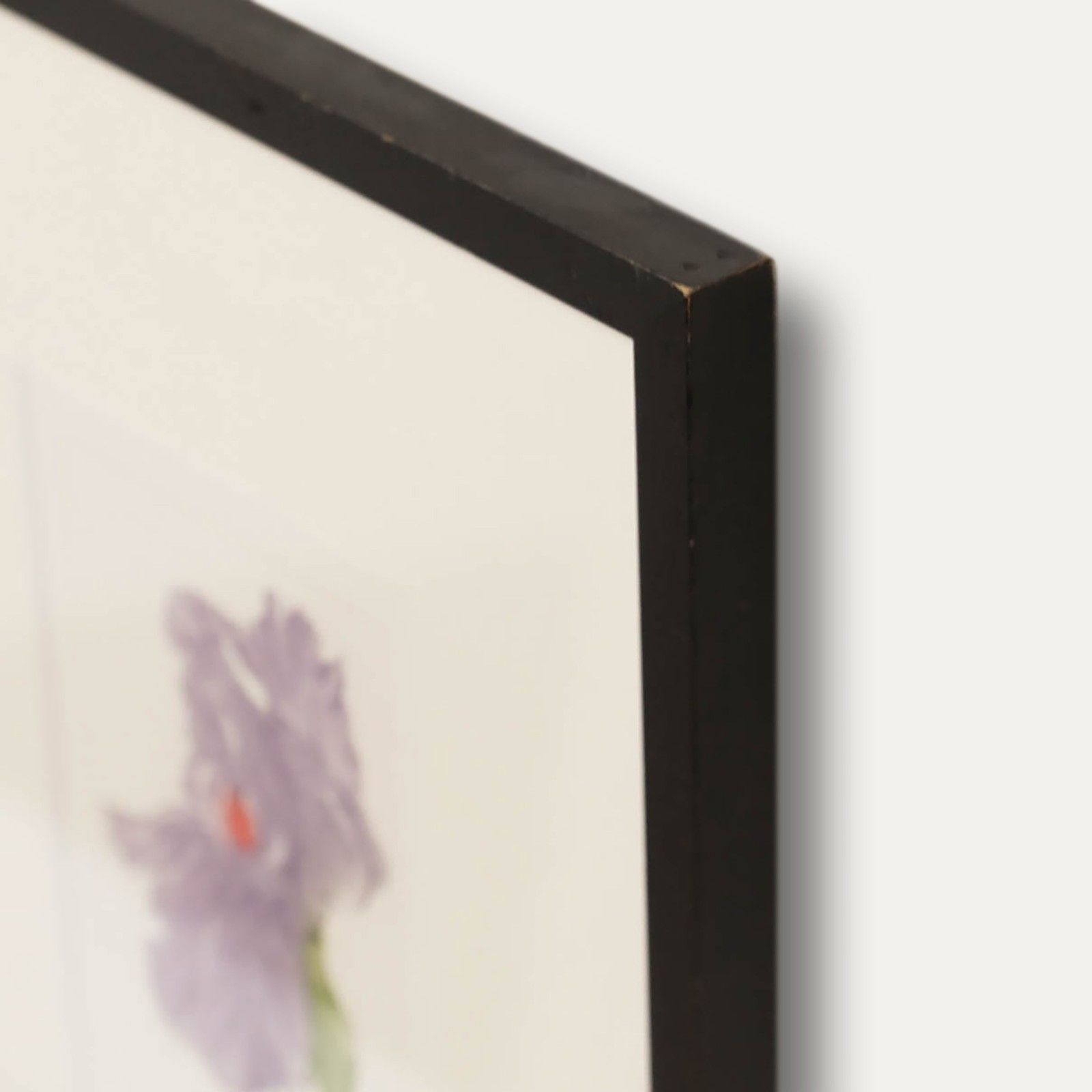 Framed Contemporary Etching Purple Iris photo 145.0
