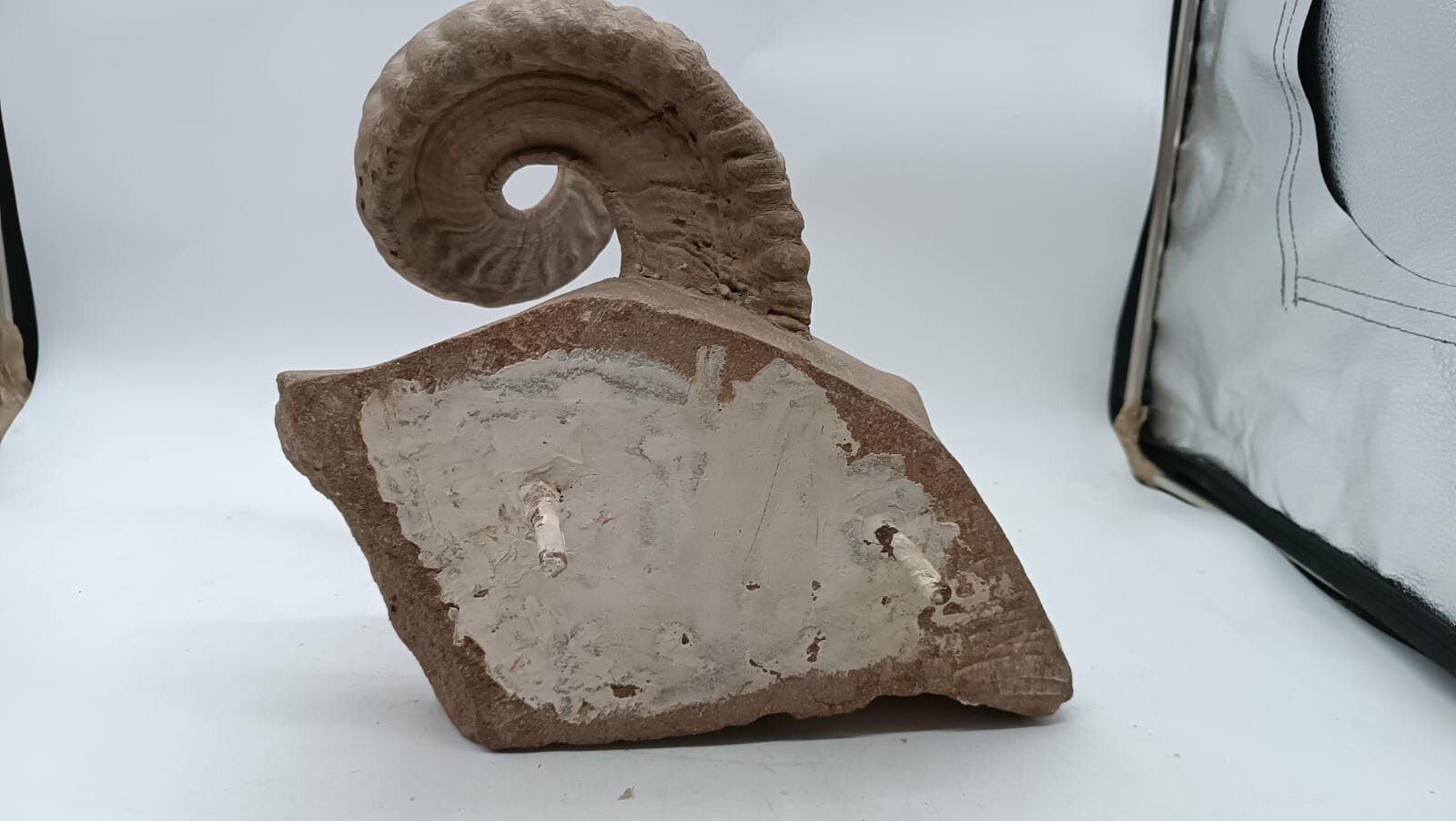 Sculpture In Stone Serena Carved Depicting Ram's Head photo buy