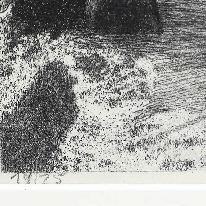 Framed Early 20th Century Etching By The Palm Trees photo Art