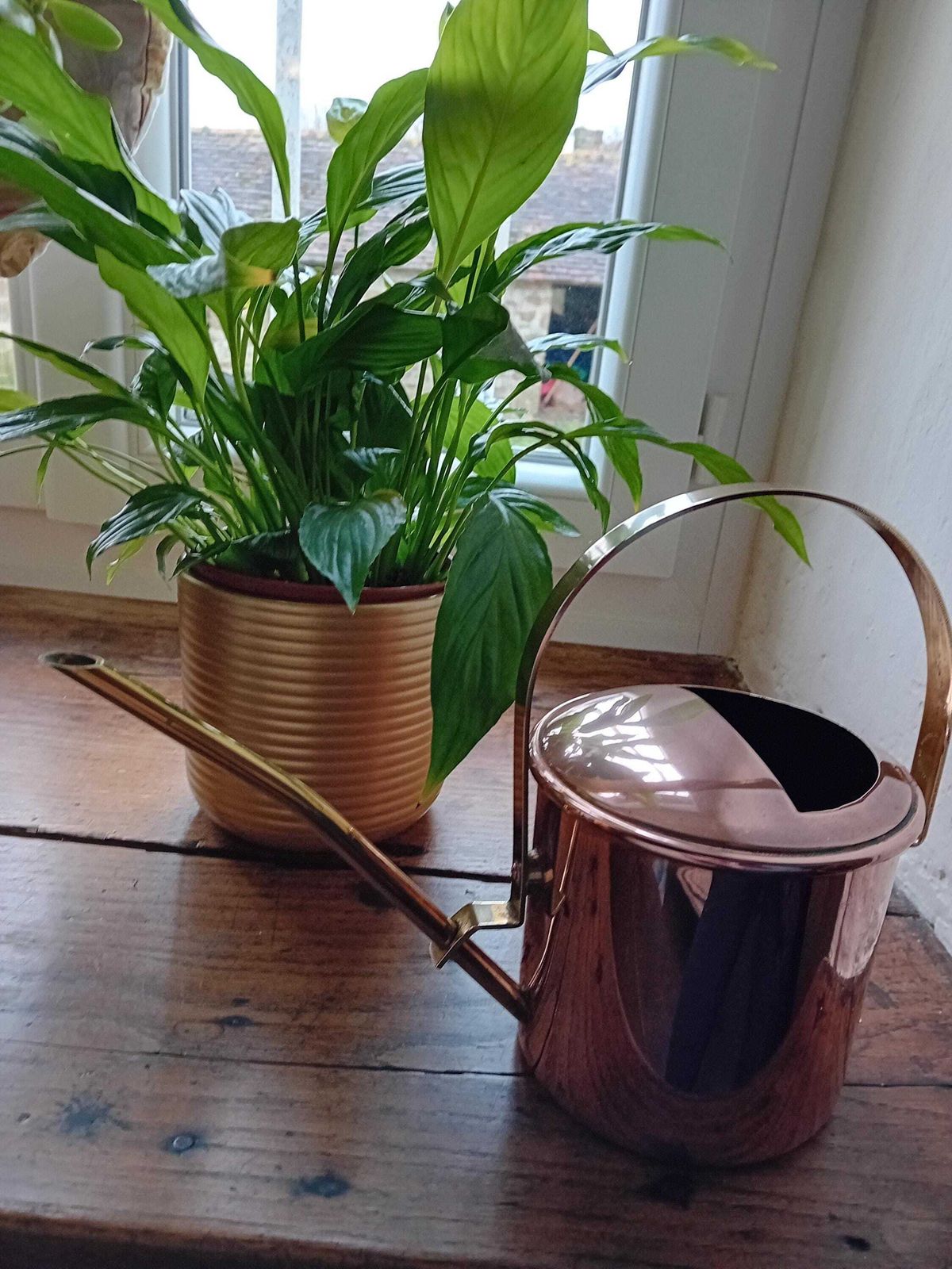 Kleine gieter van koper en messing, geschikt voor kamerplanten photo vintage