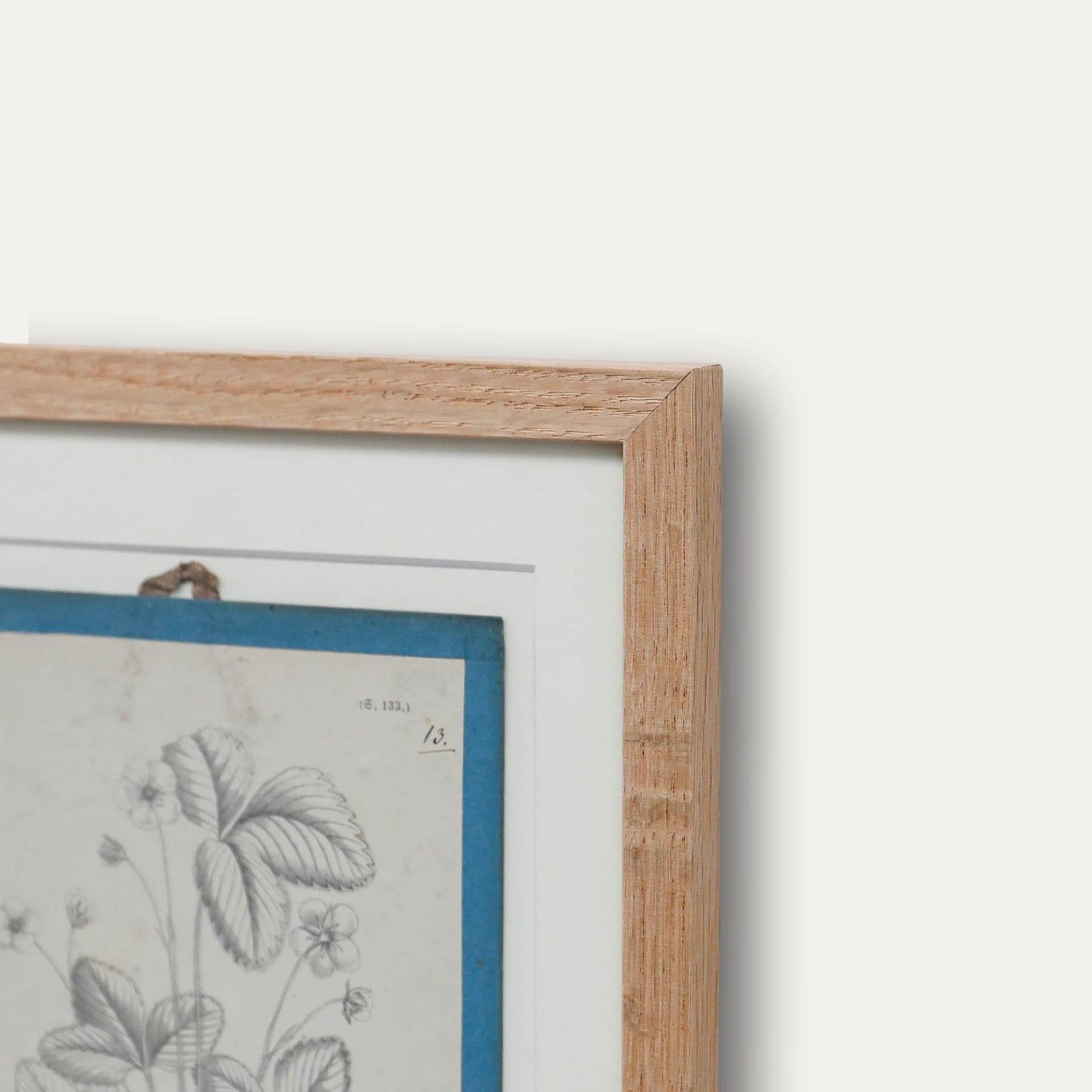 Native Flora Of Europe Framed 19th Century Lithograph, Fragaria Vesca photo vinterior