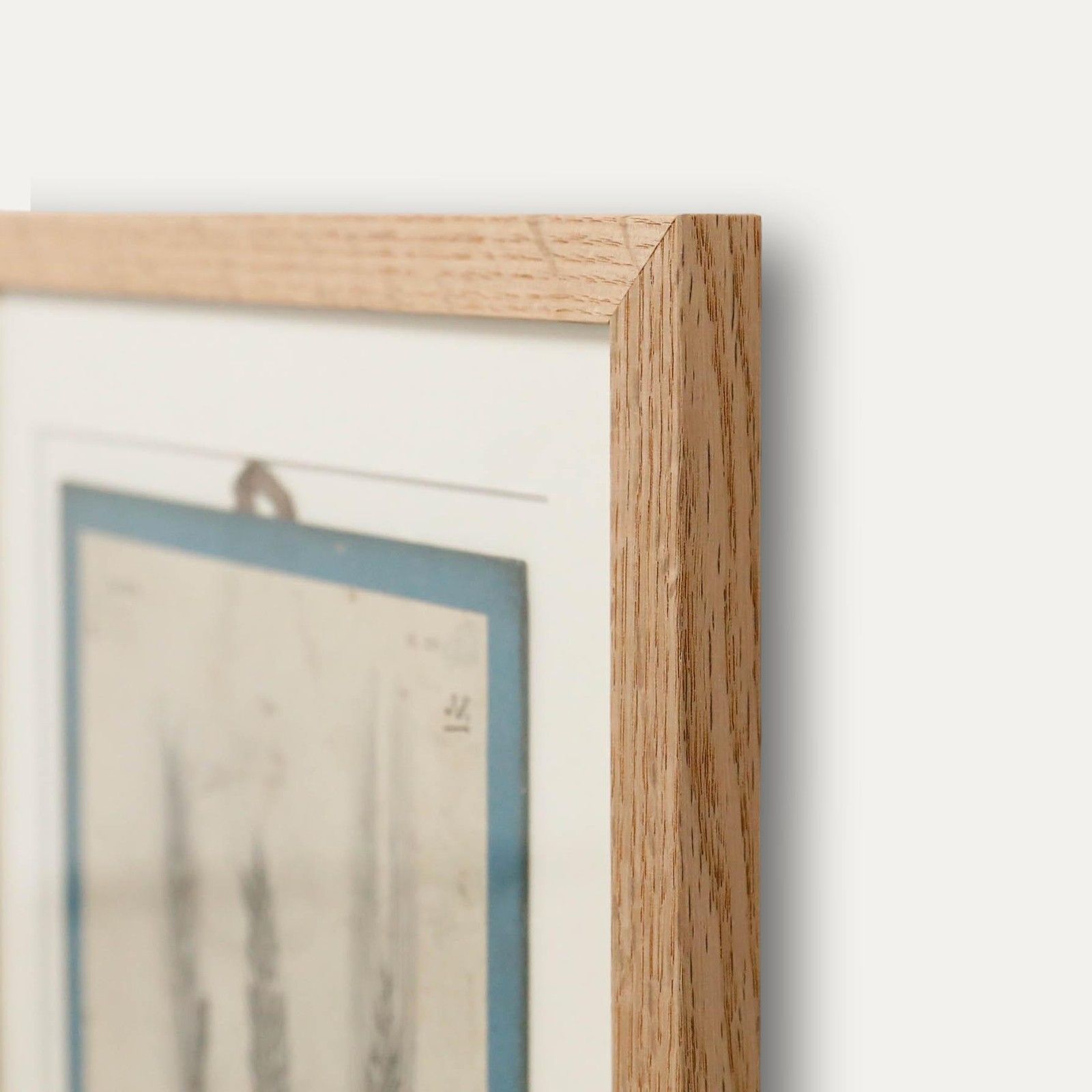 Native Flora Of Europe Framed 19th Century Lithograph, Frumentum photo 100.0