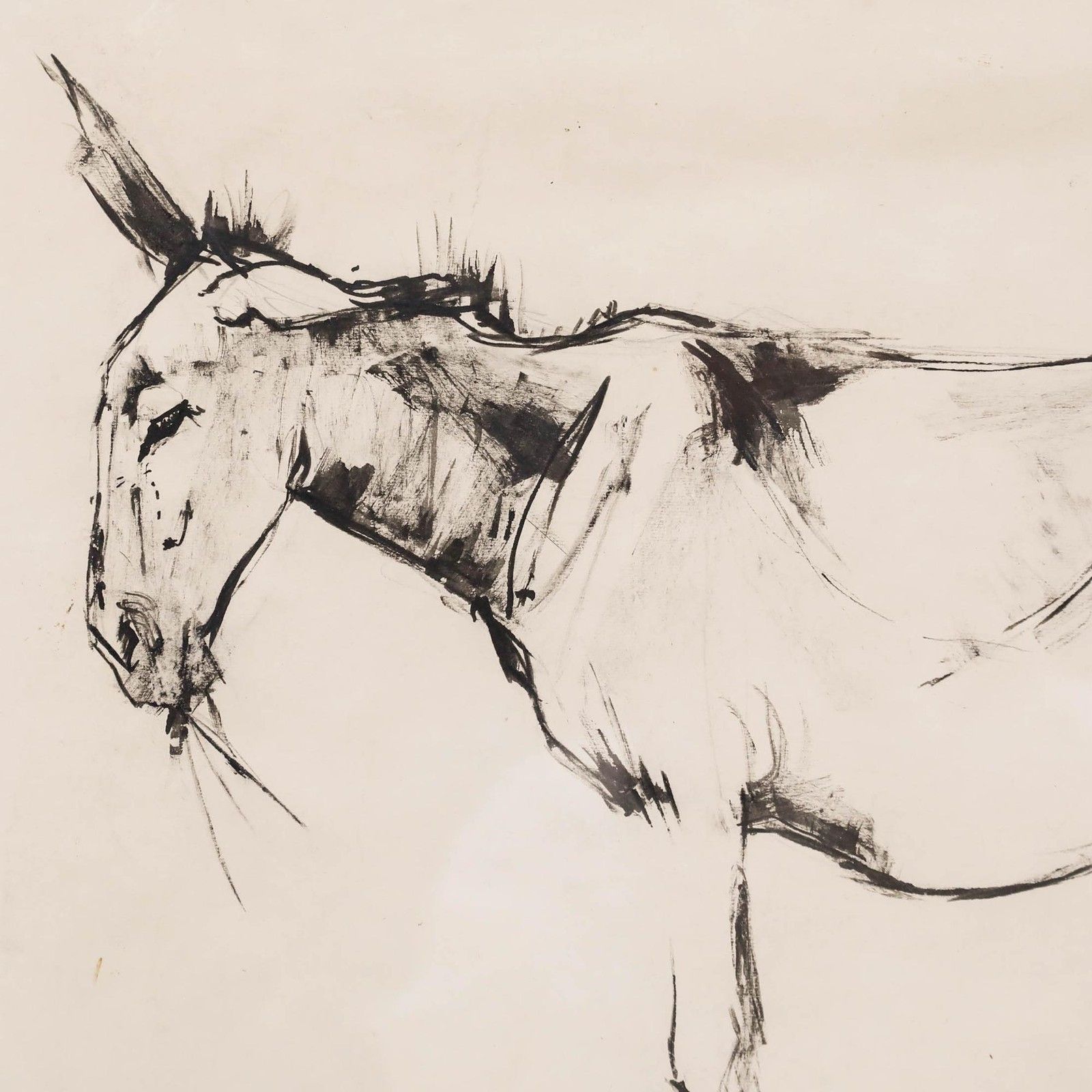 Angela Douglas Conner (B.1935) Mid 20th Century Pen And Ink Drawing, Donkey photo Art