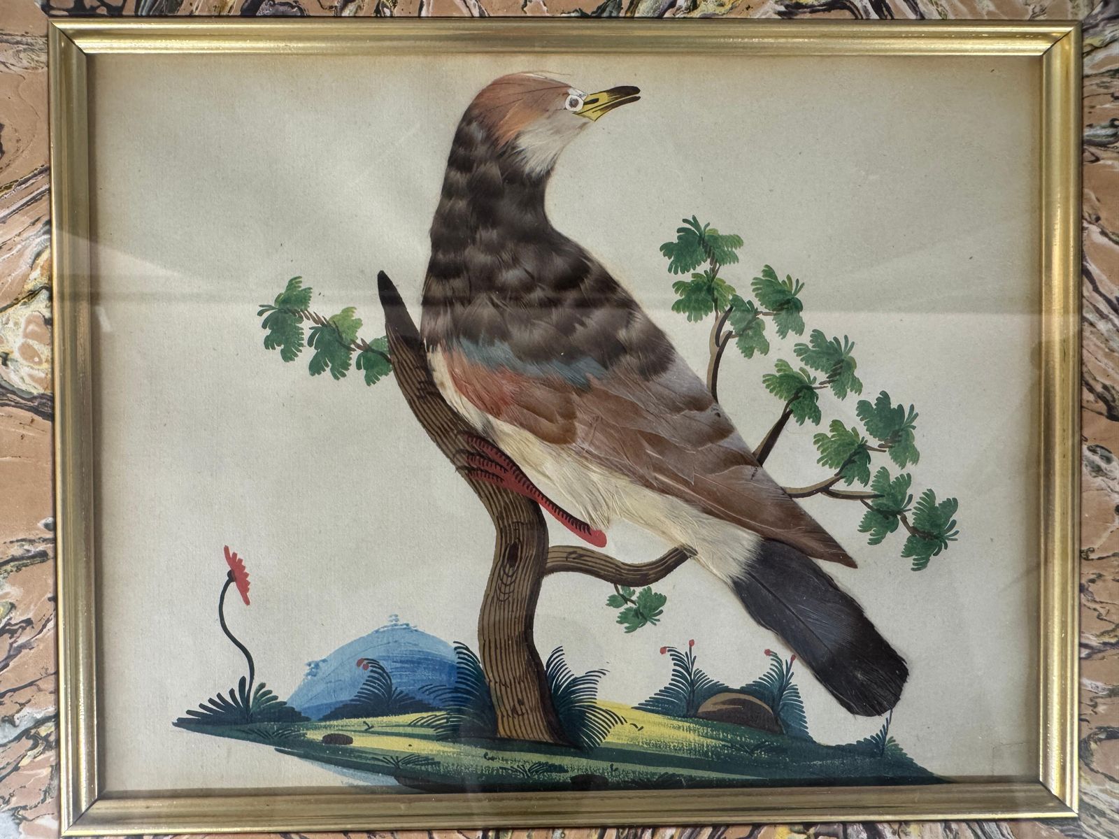 Art Set Of 7 Antique Watercolour & Feather Bird Pictures photo
