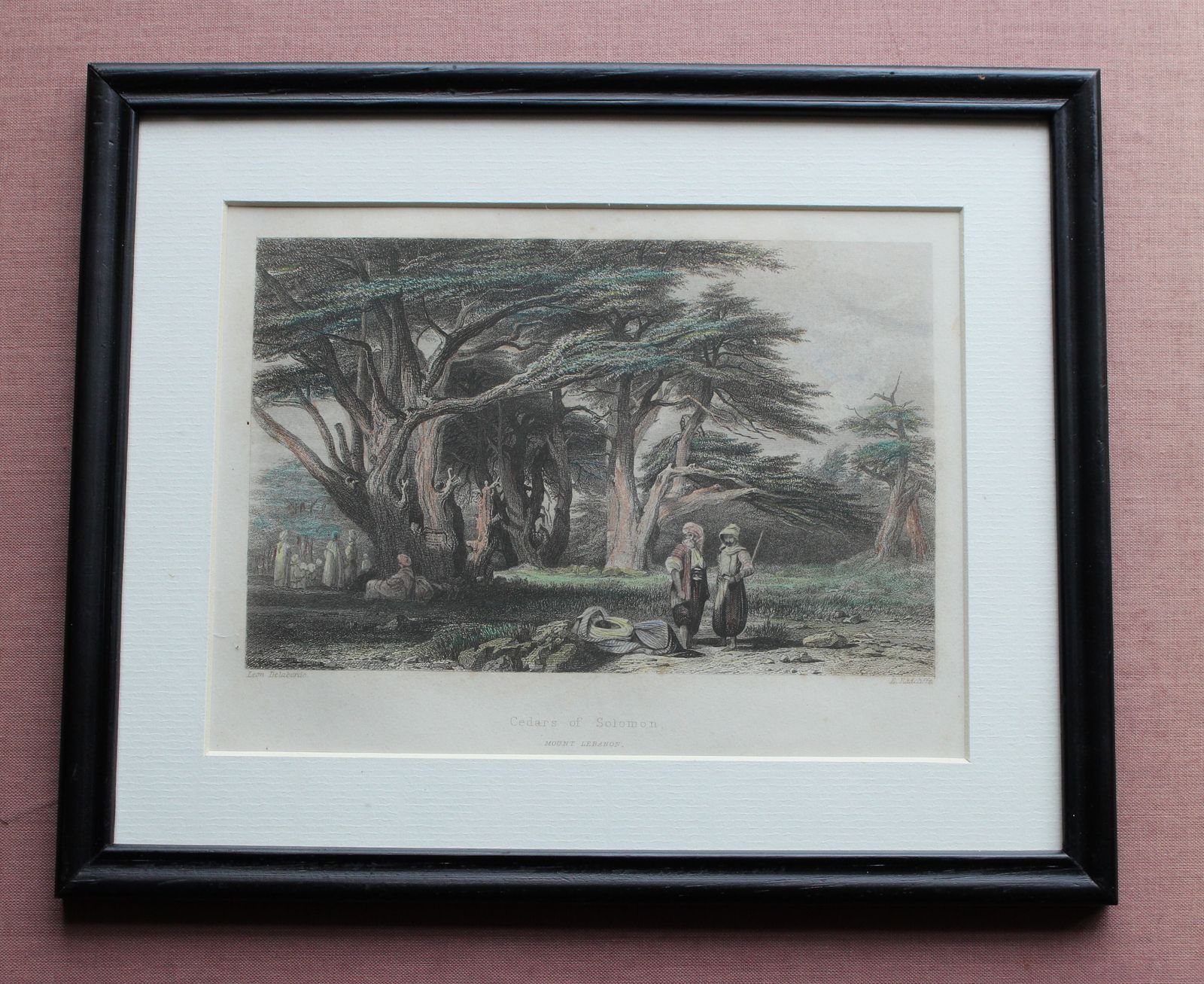 "Cedars Of Solomon ~ Mount Lebanon" By E Radcliffe C1855