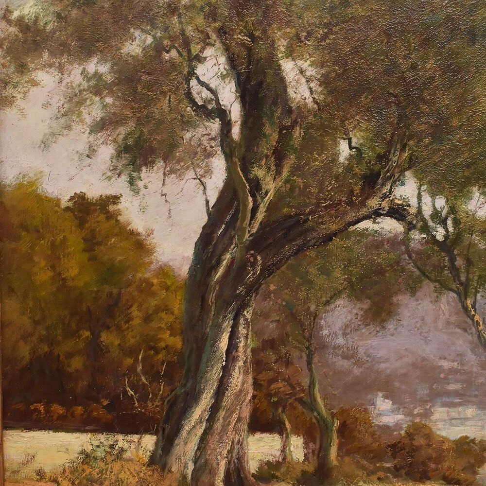 Antique Landscape Painting, Emilio Filippini, Seascape And Olive Trees, XX Century. (Qp697) photo vinterior