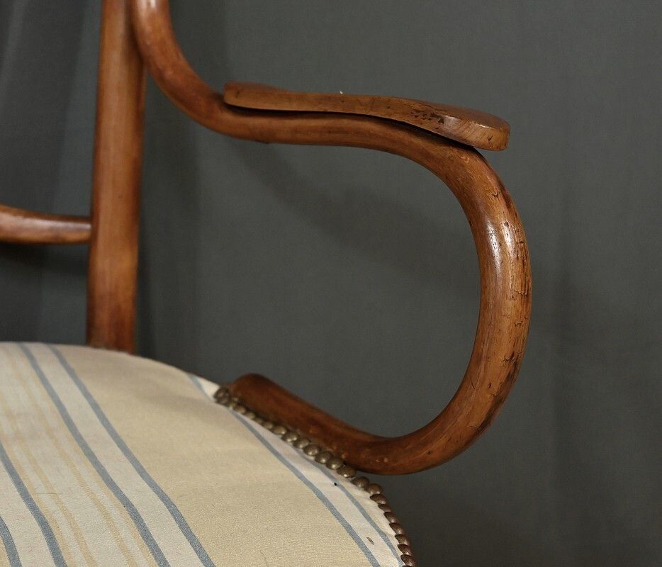 Curved Beech Armchair, Maison Fischel, Art Nouveau – Early 20th Century photo vinterior