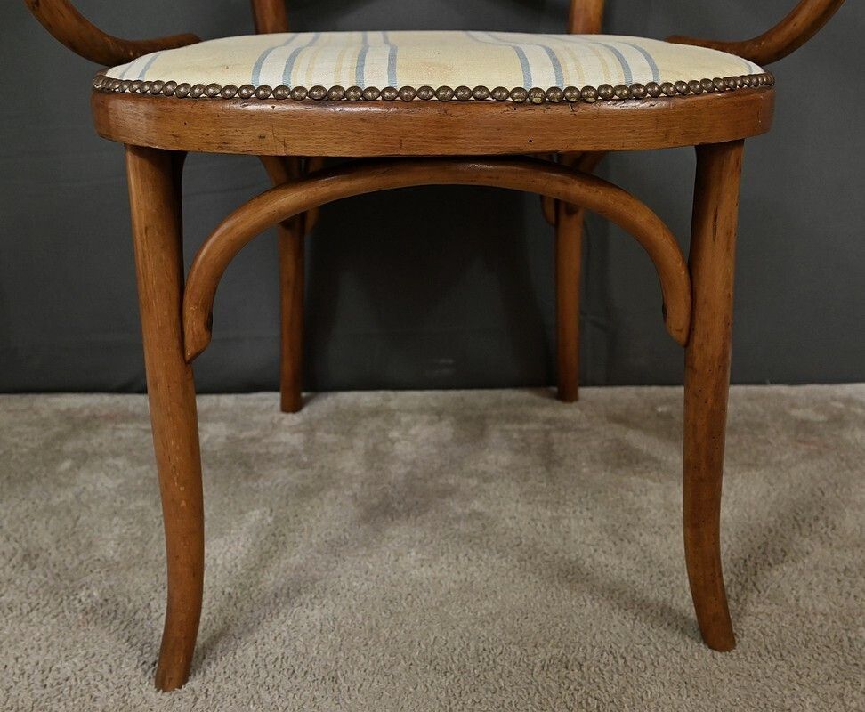 photo furniture Curved Beech Armchair, Maison Fischel, Art Nouveau – Early 20th Century