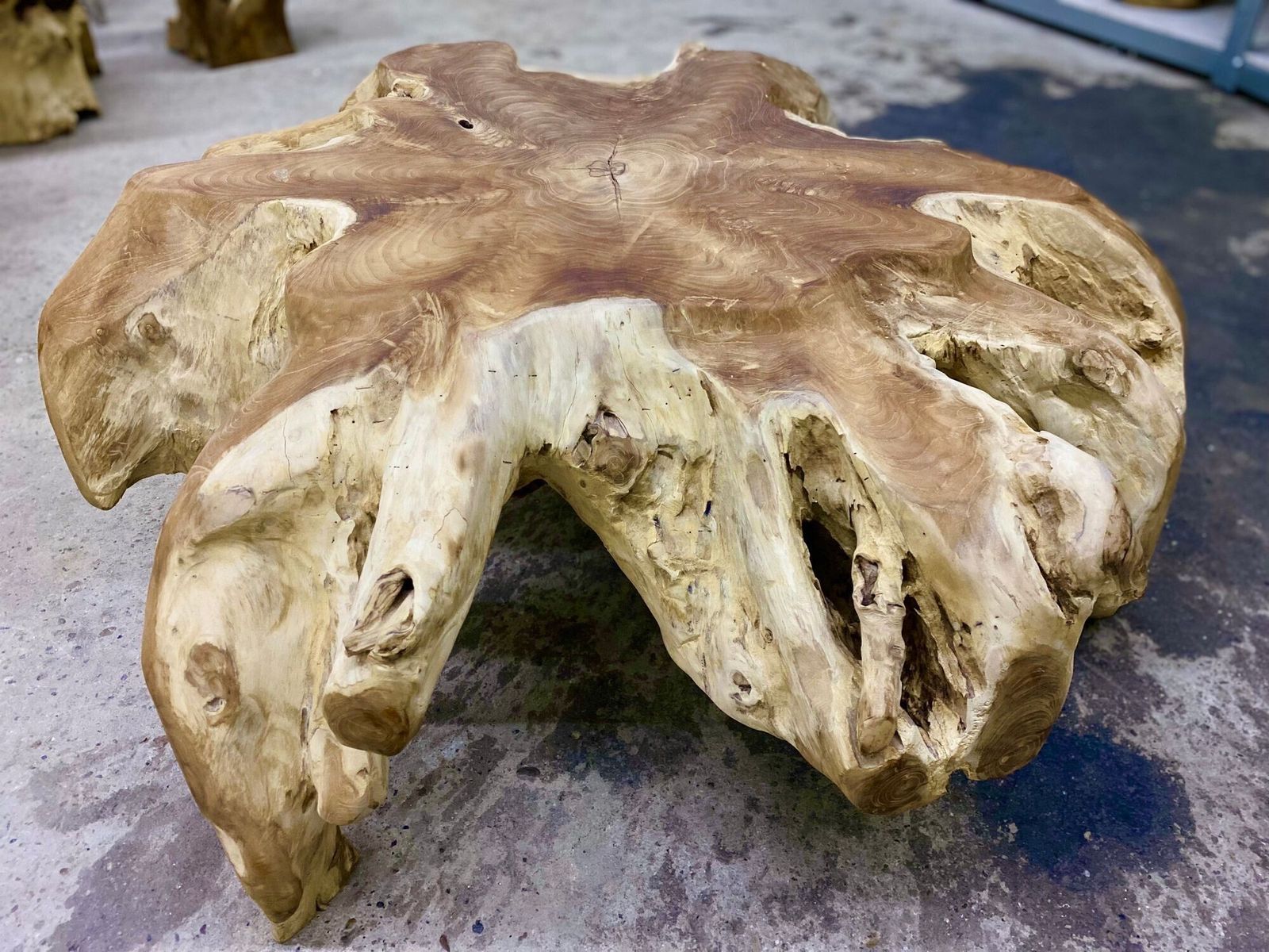 Contemporary Wooden Teak Root Coffee Table, Organic Modern, Idn 2024 photo furniture