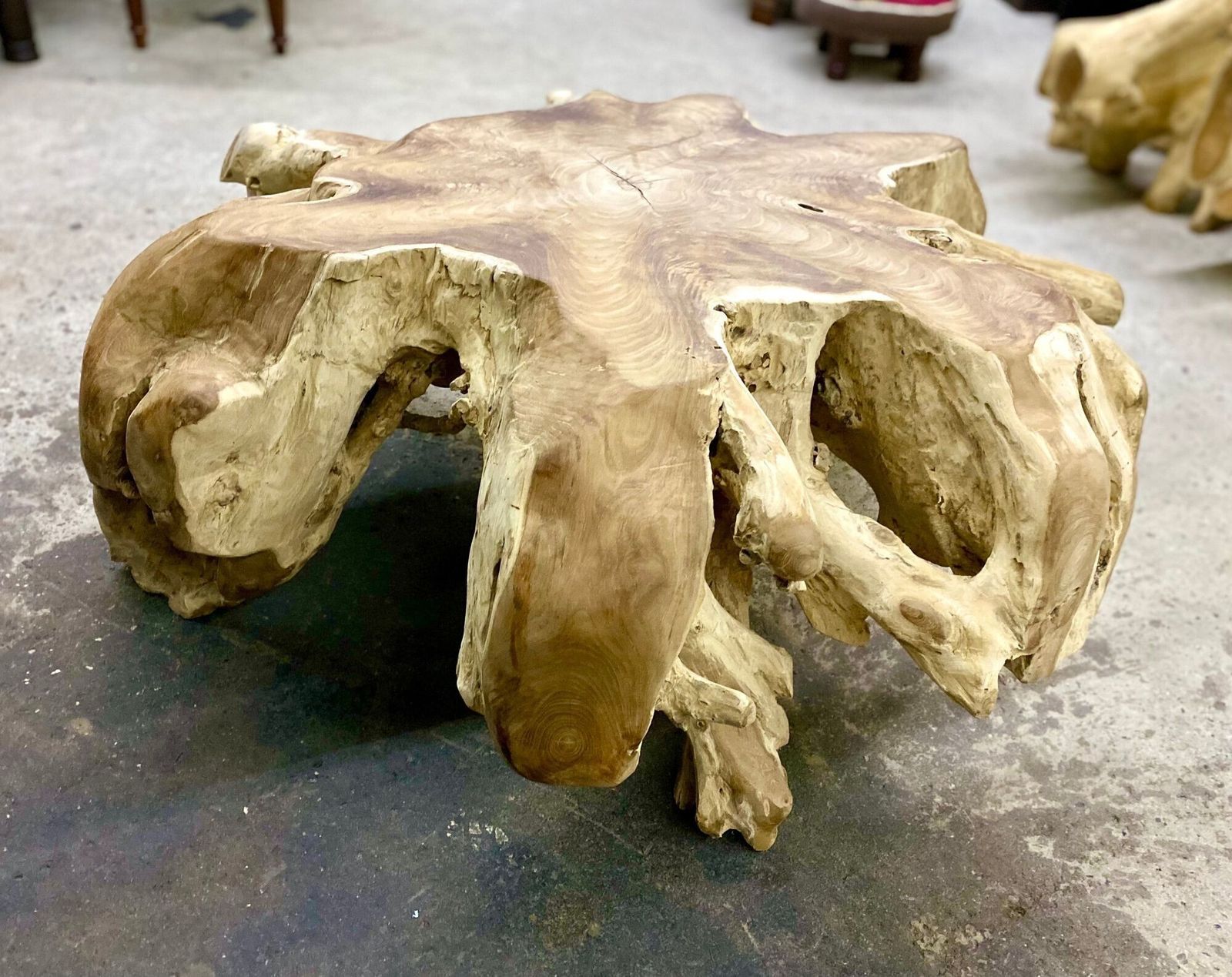 Contemporary Wooden Teak Root Coffee Table, Organic Modern, Idn 2024 photo buy