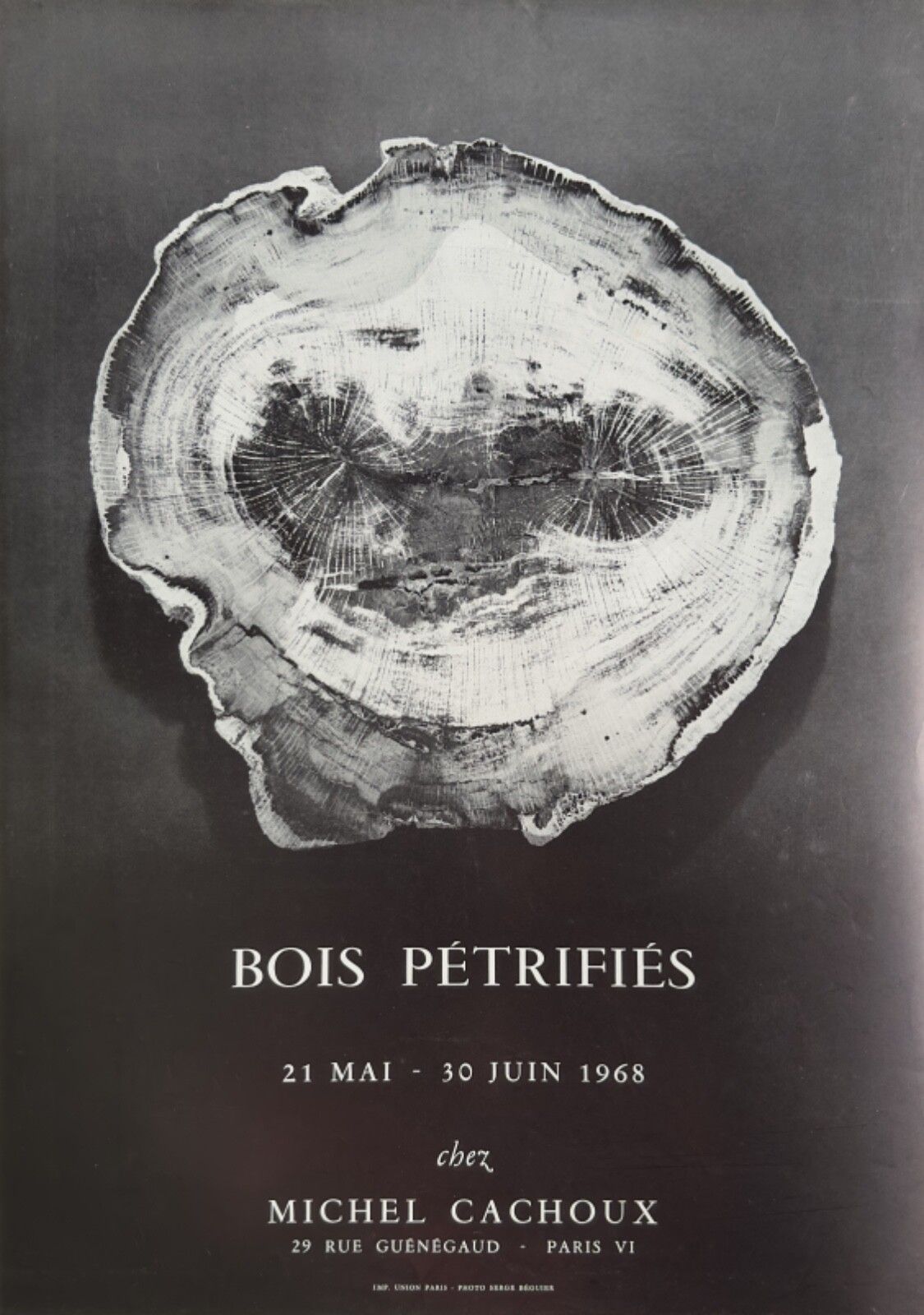 Petrified Woods Vintage Poster Poster Exhibition Paris May 1968 Michel Cachoux