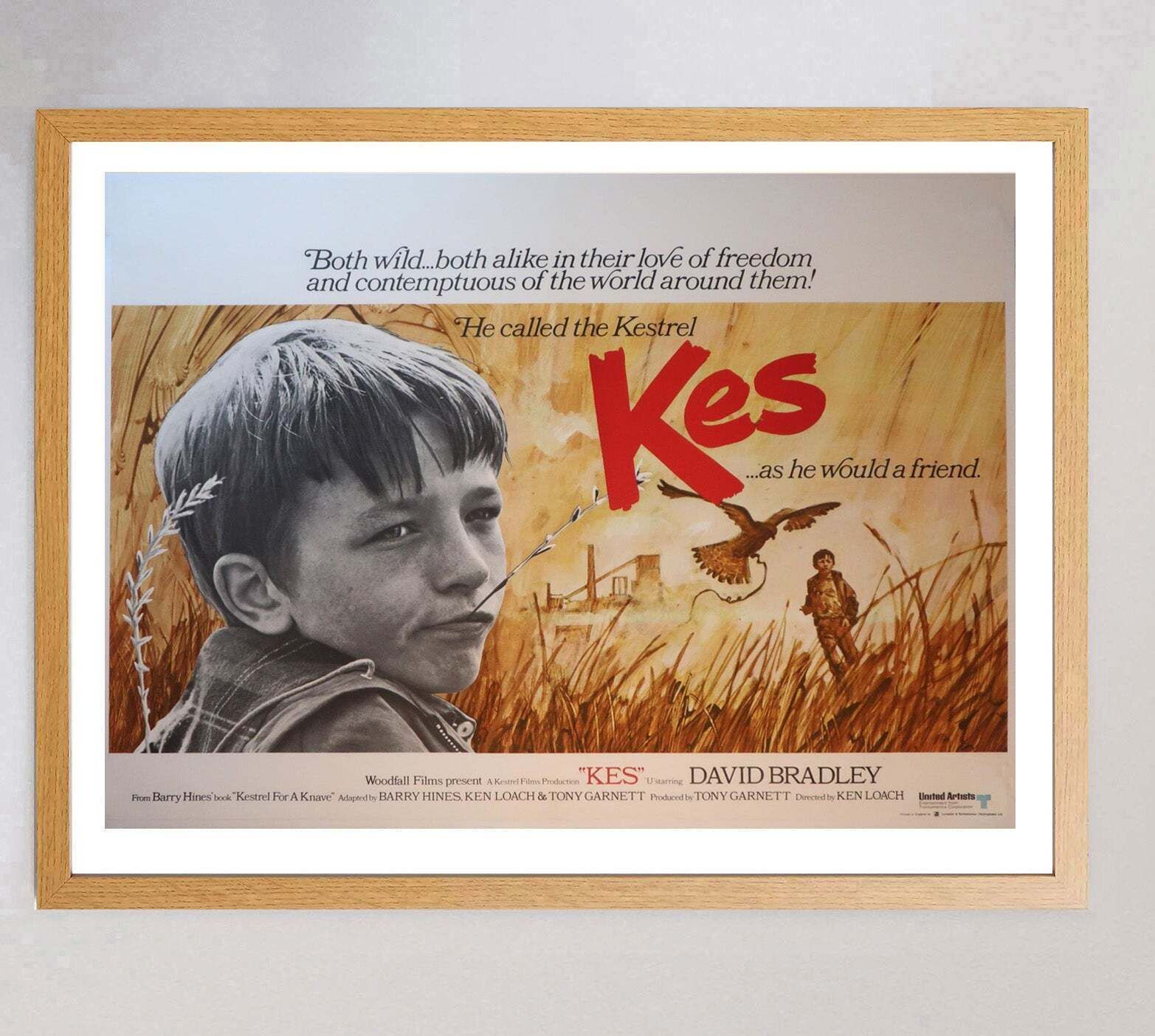 Kes   Original Vintage Poster, 1960s photo Art
