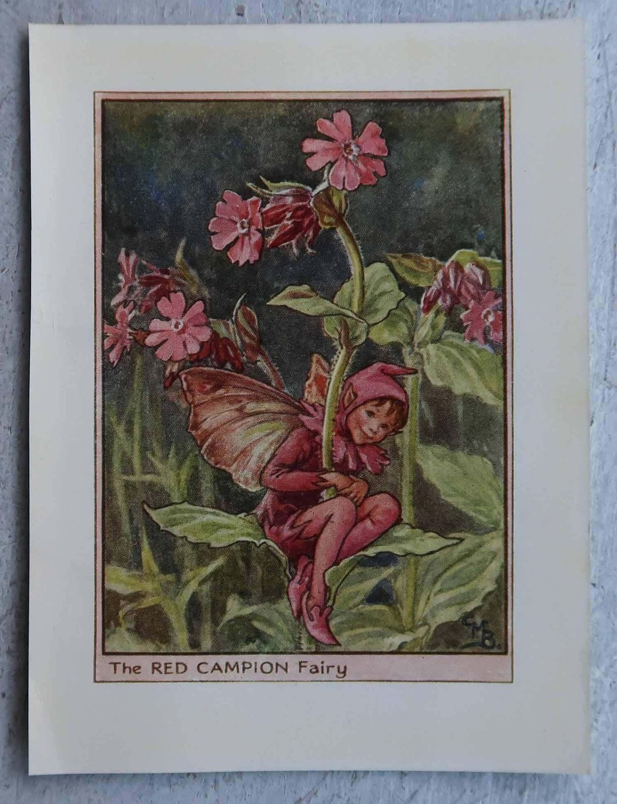 photo furniture Set Of 8 Original Vintage Flower Fairy Prints, Circa 1930
