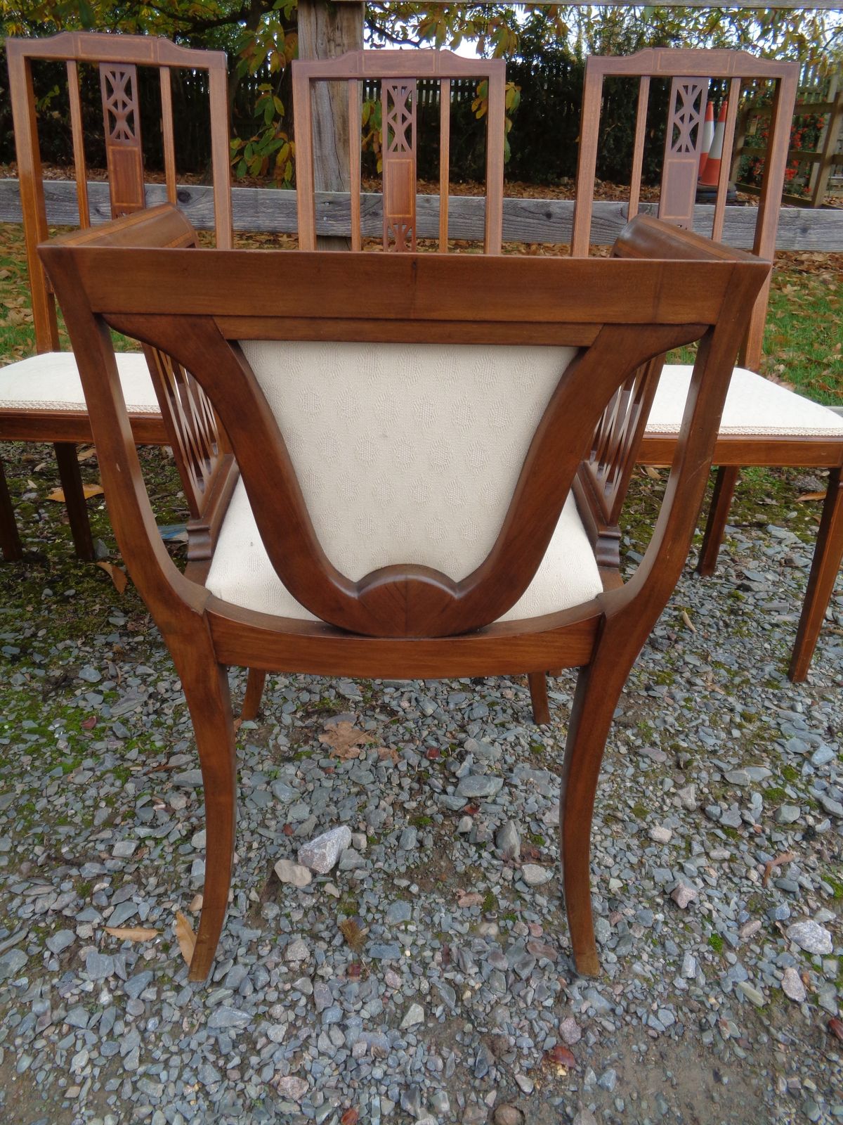 345.0 6 Edwardian Mahogany Salon Chairs   Gentleman's & Ladies + 4 photo