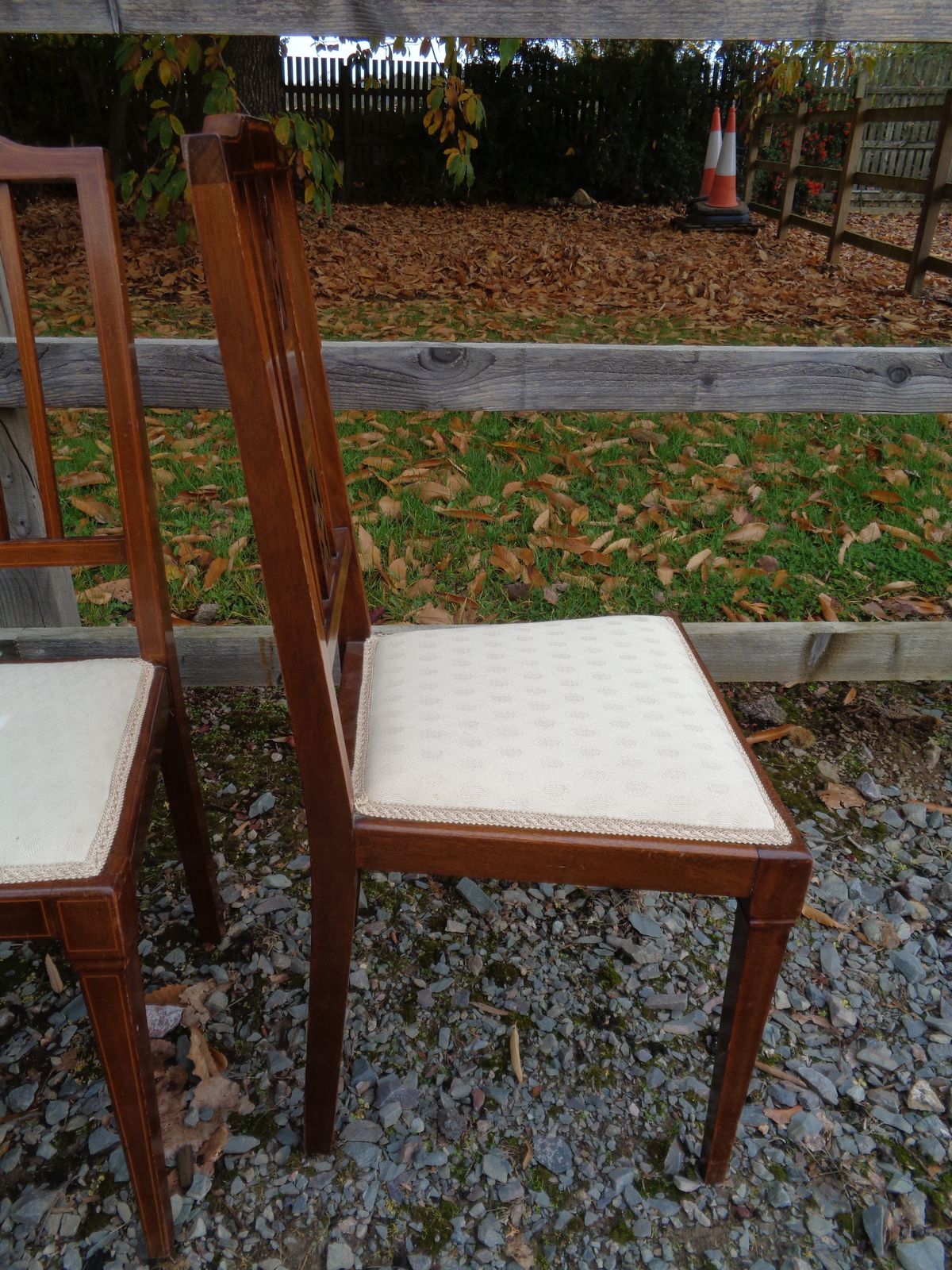 photo buy 6 Edwardian Mahogany Salon Chairs   Gentleman's & Ladies + 4