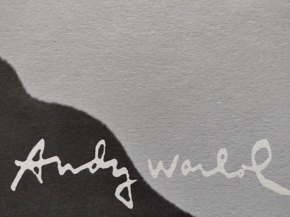 1980s Andy Warhol Signed Limited Edition Lithograph Self Portrait photo for sale