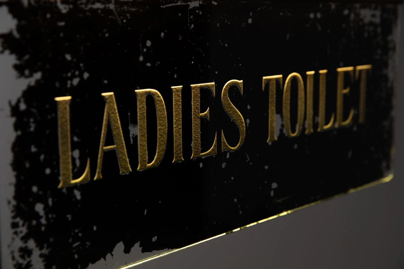 Antique Art Deco Ladies & Gents Toilet Signs photo furniture