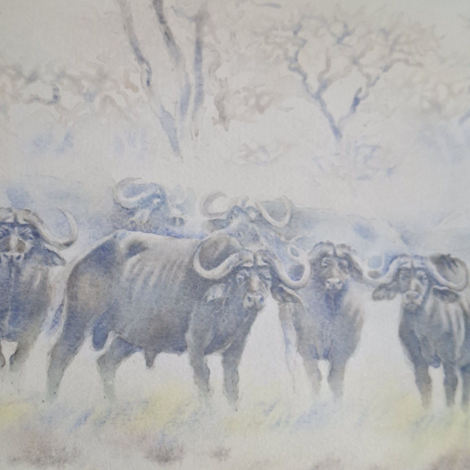 Large Original Watercolour Painting Progress Ncube African Buffalo Contemporary photo for sale
