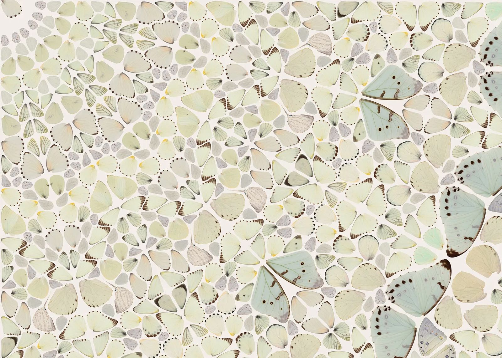 Damien Hirst Intricacy From The Kaleidoscopes, H18 5 photo for sale